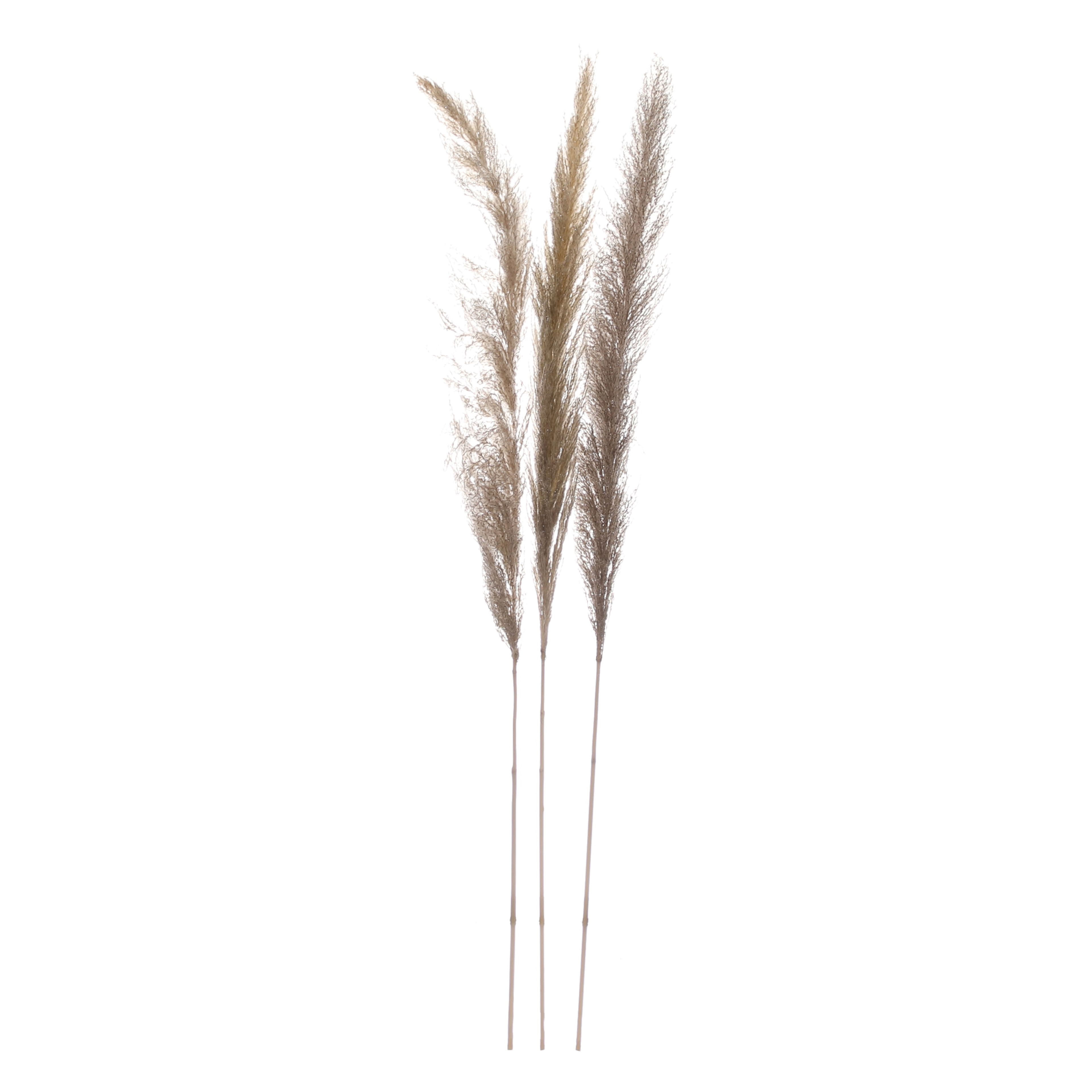 3.5ft. Natural Glitter Pampas Bundle by Ashland&#xAE;