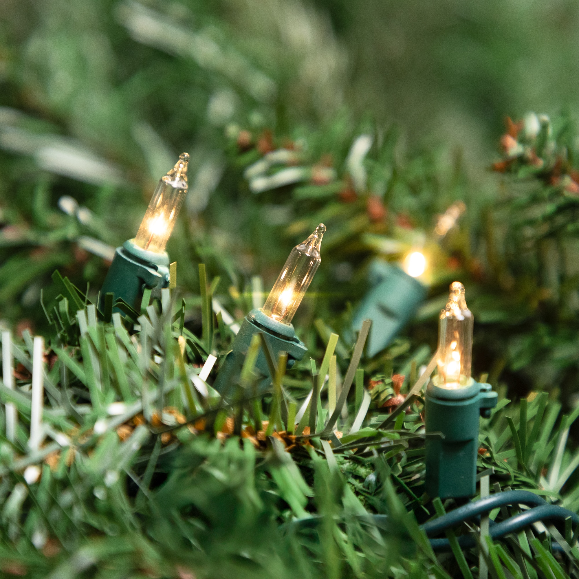 20ct. Clear Mini Christmas String Lights with Green Wire