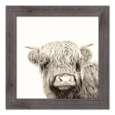 Shaggy Bangs Highland Cow Framed Print Wall Hanging 