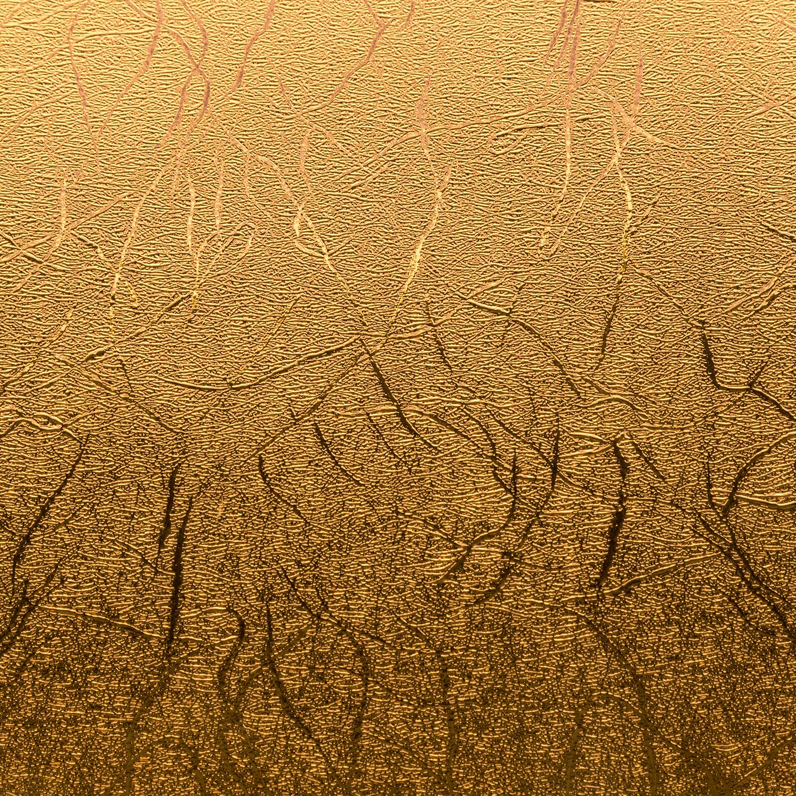 Cricut® Martha Stewart Gilded Black Tie Mixed Materials