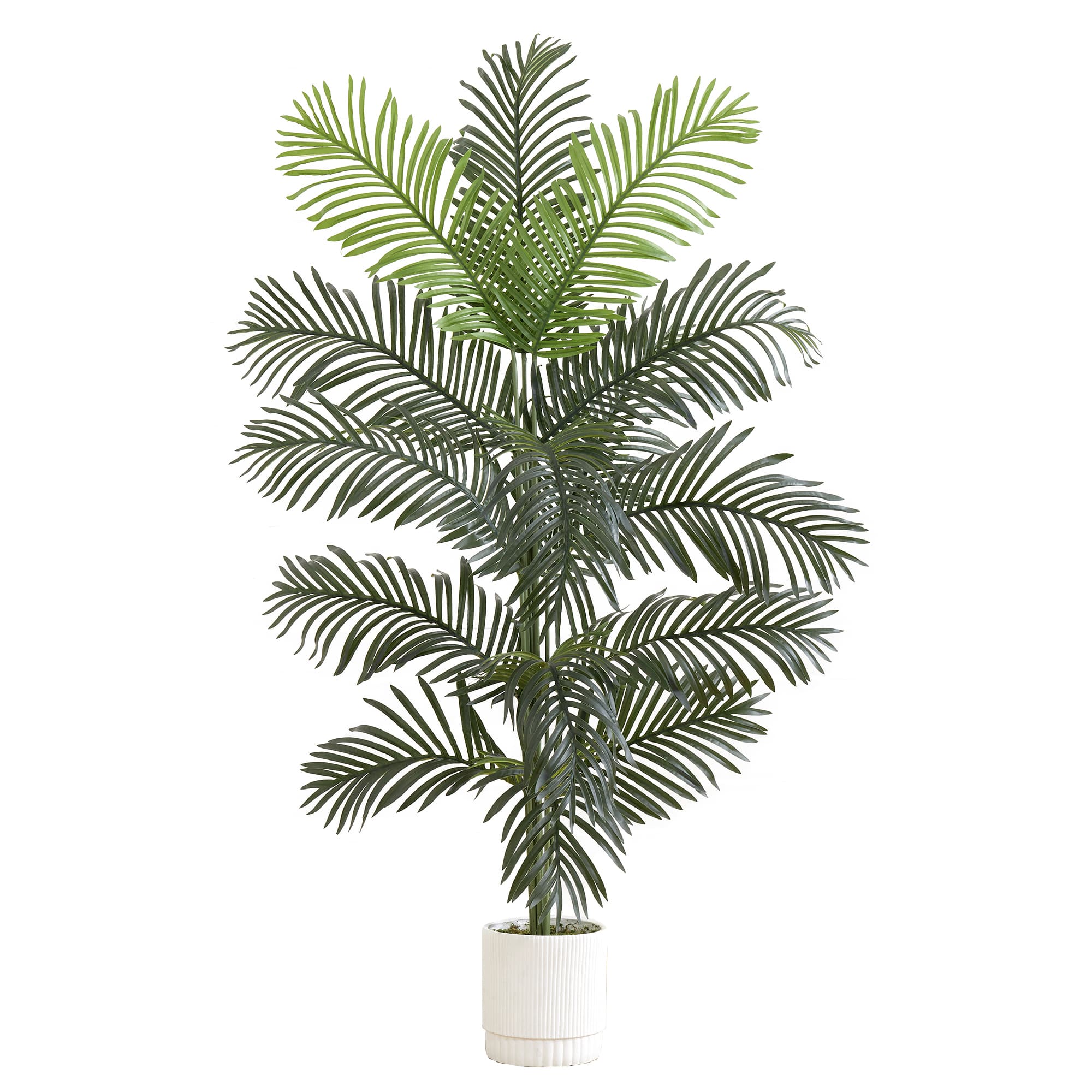 6' Artificial Paradise Palm with White Decorative Planterplanter