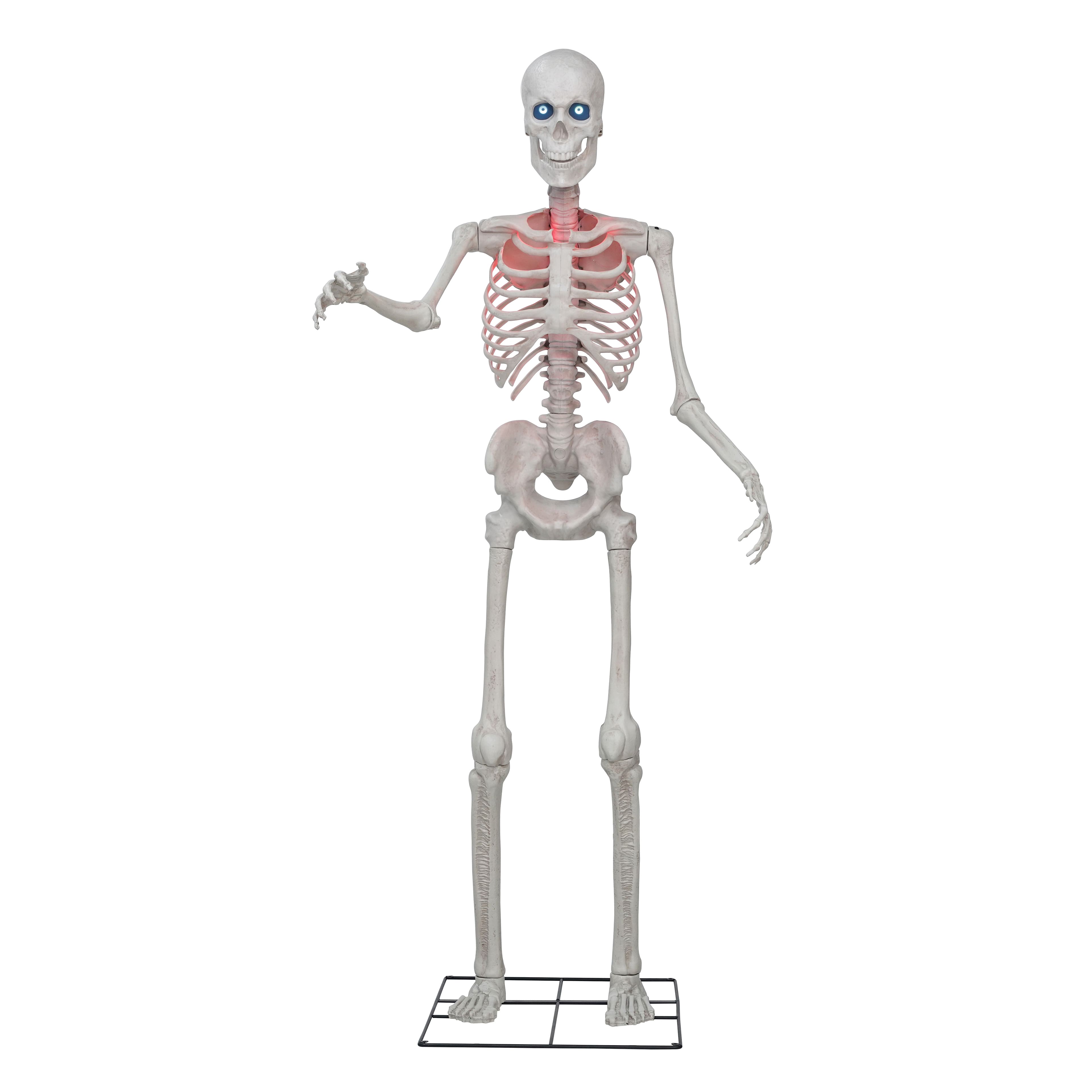 8ft. Skeleton by Ashland&#xAE;