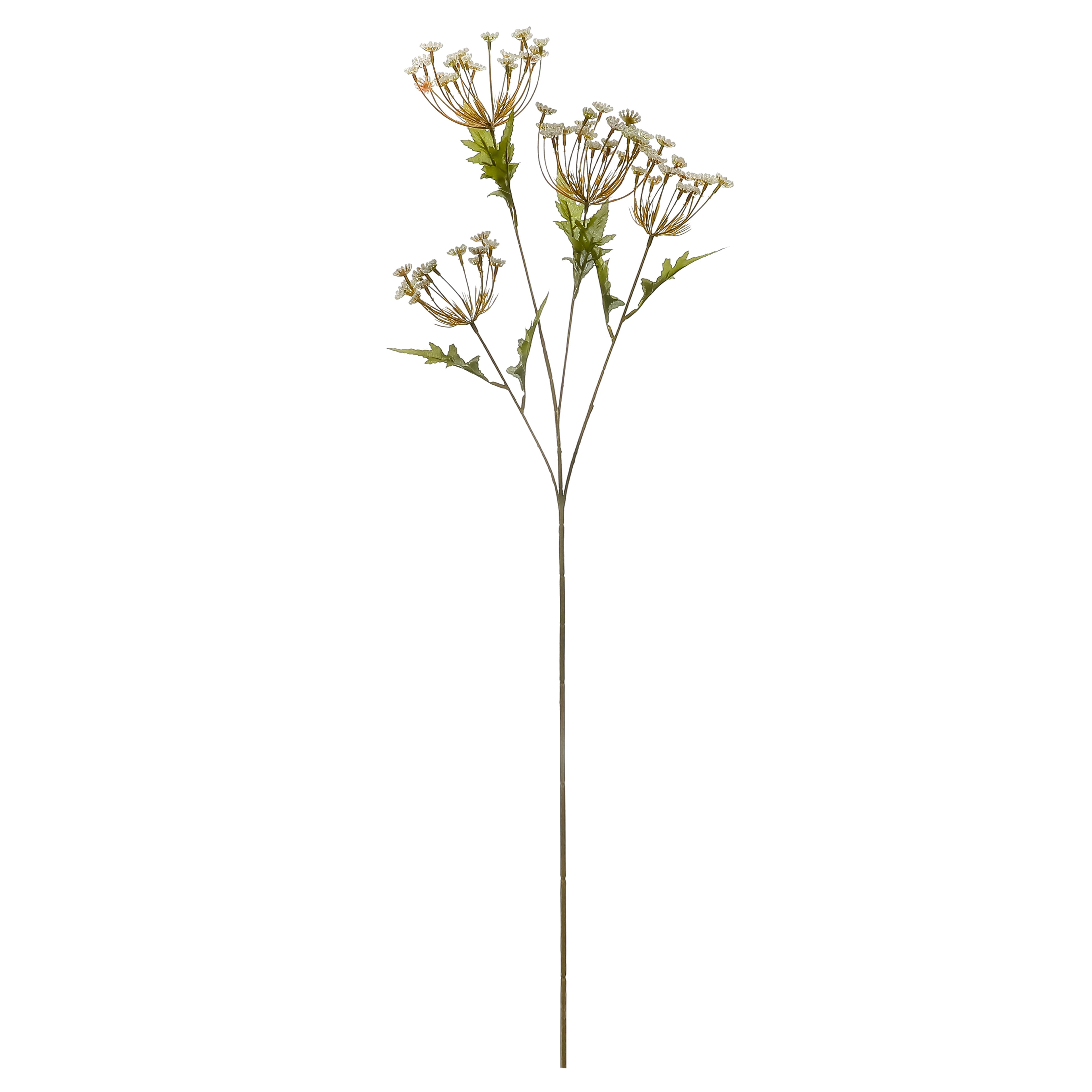 36&#x22; Cream Queen Anne&#x27;s Lace Stem by Ashland&#xAE; 
