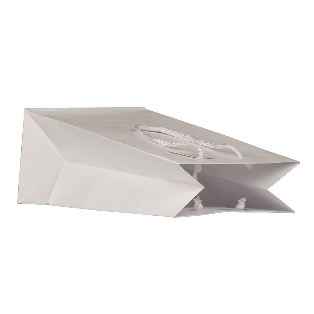 JAM Paper Medium Gift Bags with Rope Handles, 3ct.