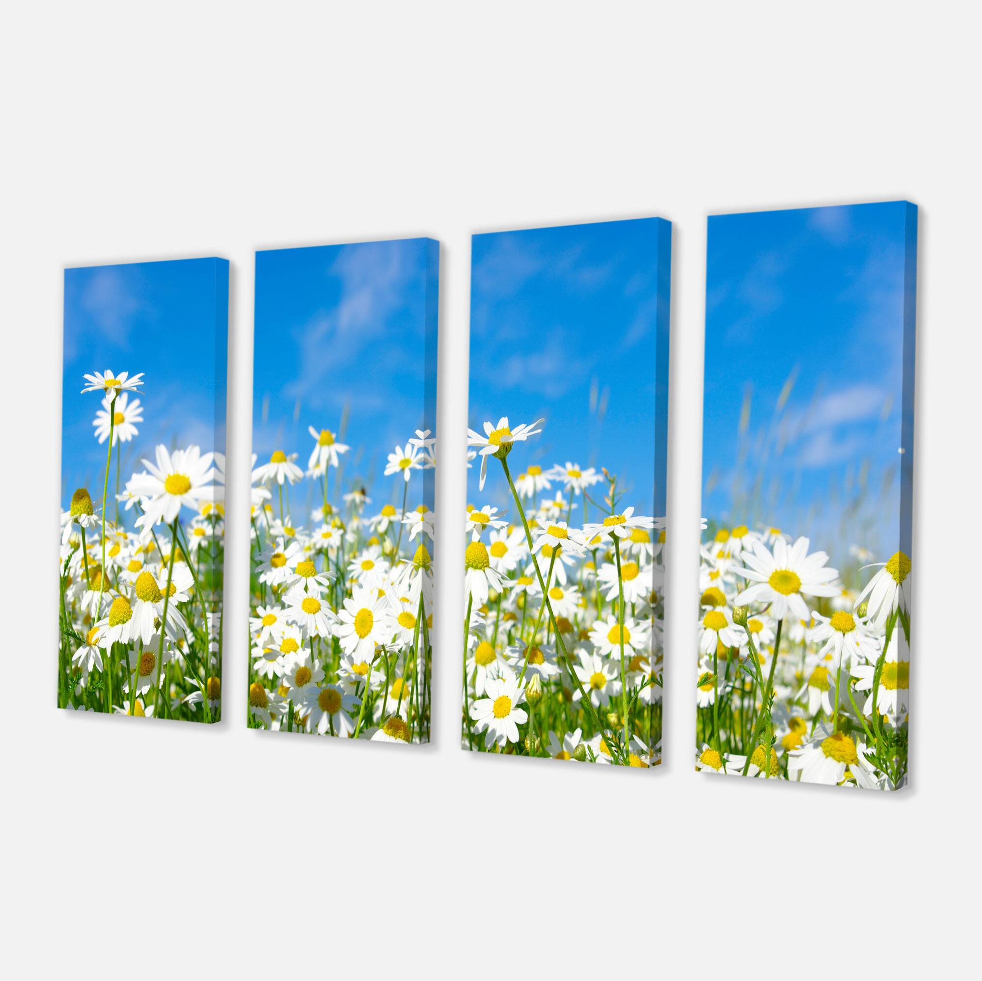 Designart - White Daisies under Bright Blue Sky