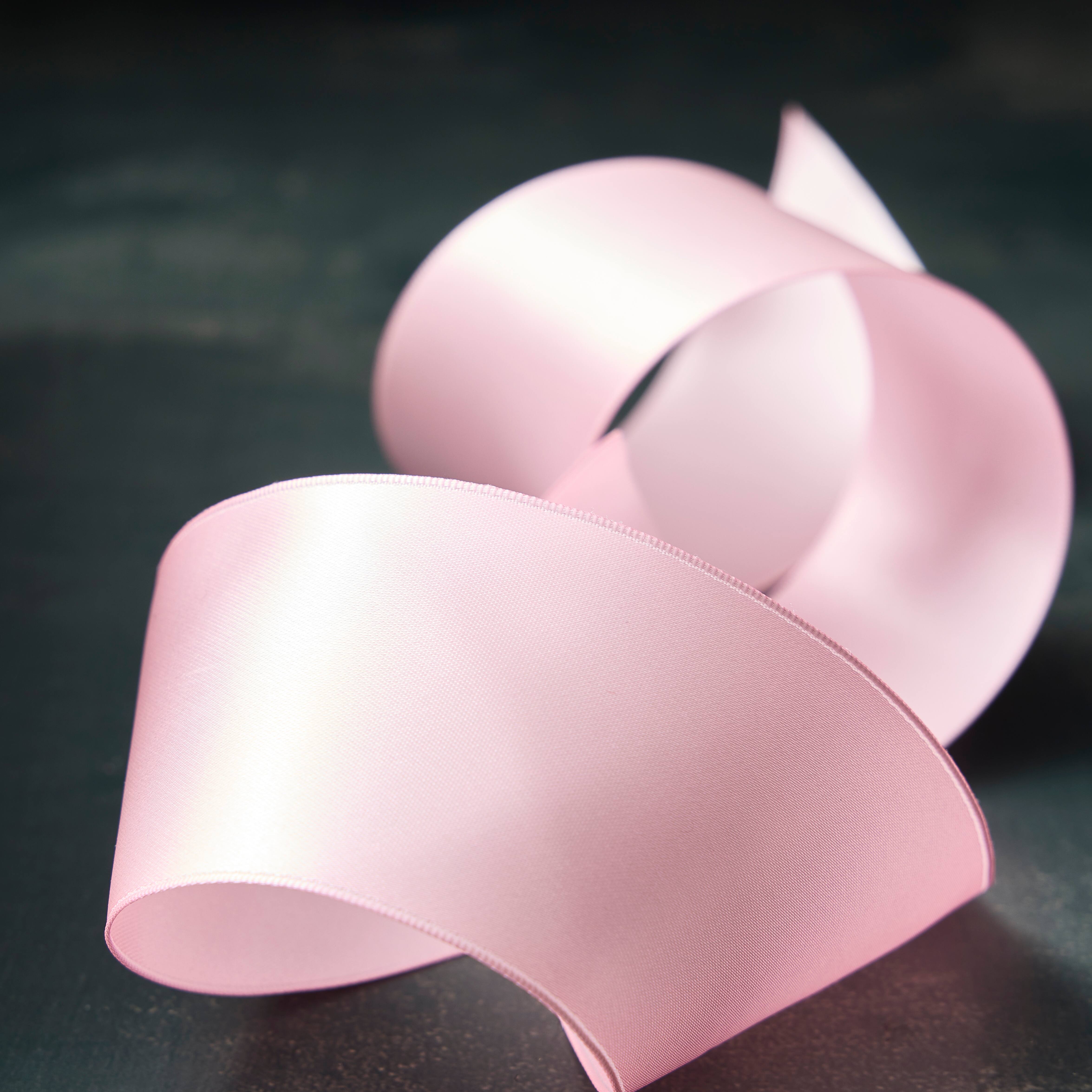 2.5" x 10yd. Satin Wired Ribbon by Celebrate It® Classic