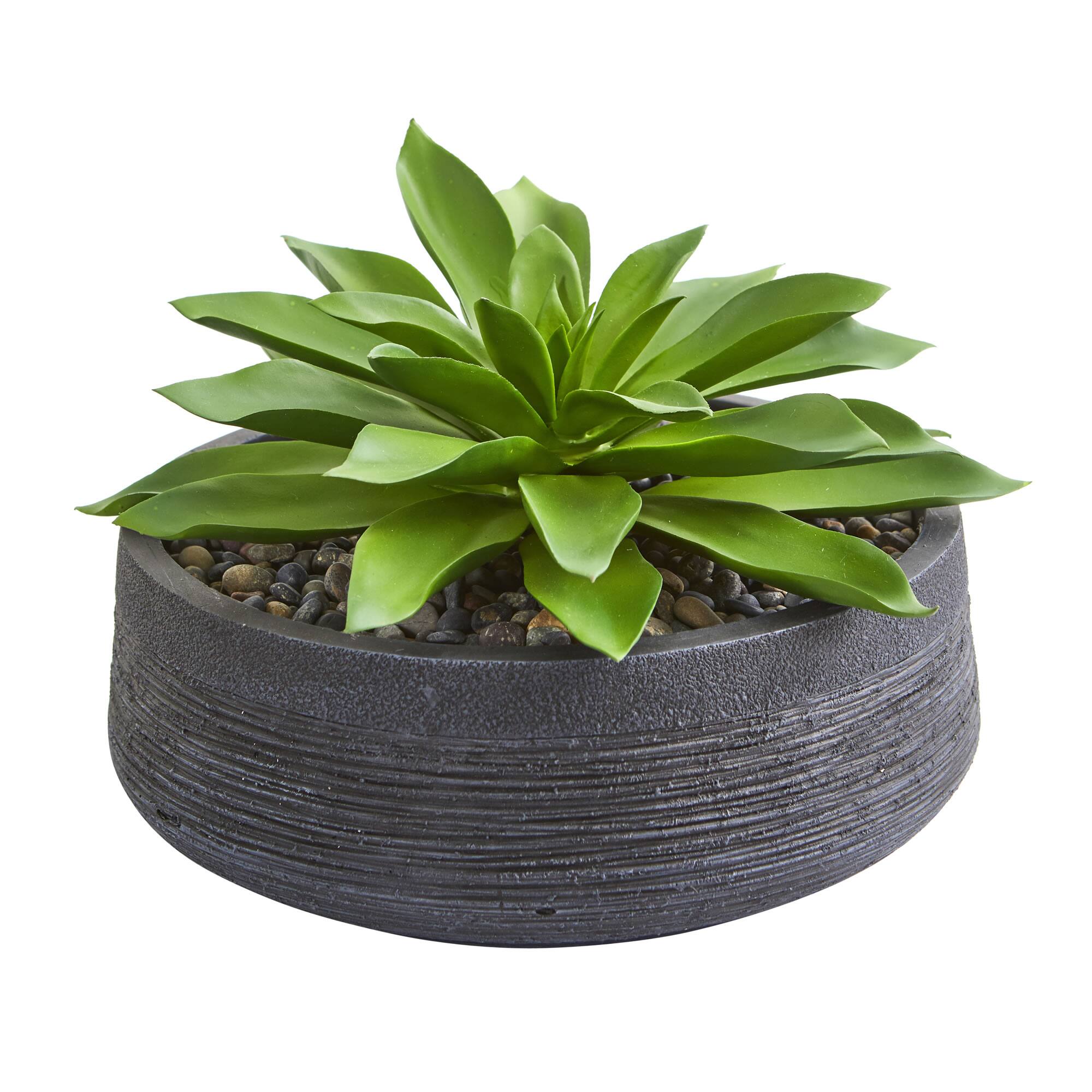 10" Large Succulent Artificial Plant in Decorative Bowl 10" Large Succulent Artificial Plant in Decorative Bowl