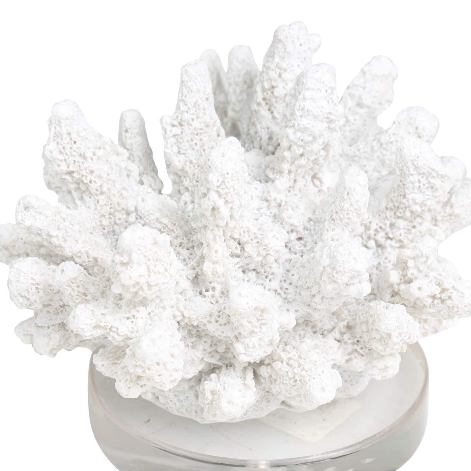 6" White Polystone Small Textured Coral Sculpture with Clear Acrylic Base
