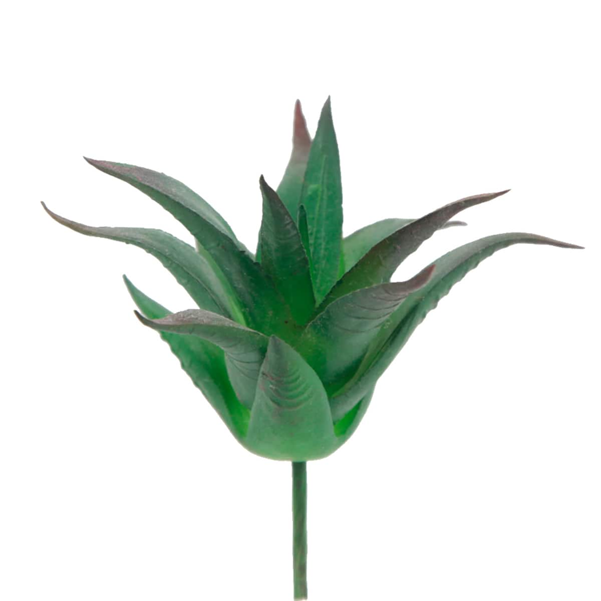 Flora Bunda® Aloe Vera Succulent Pick, 6ct. | Michaels