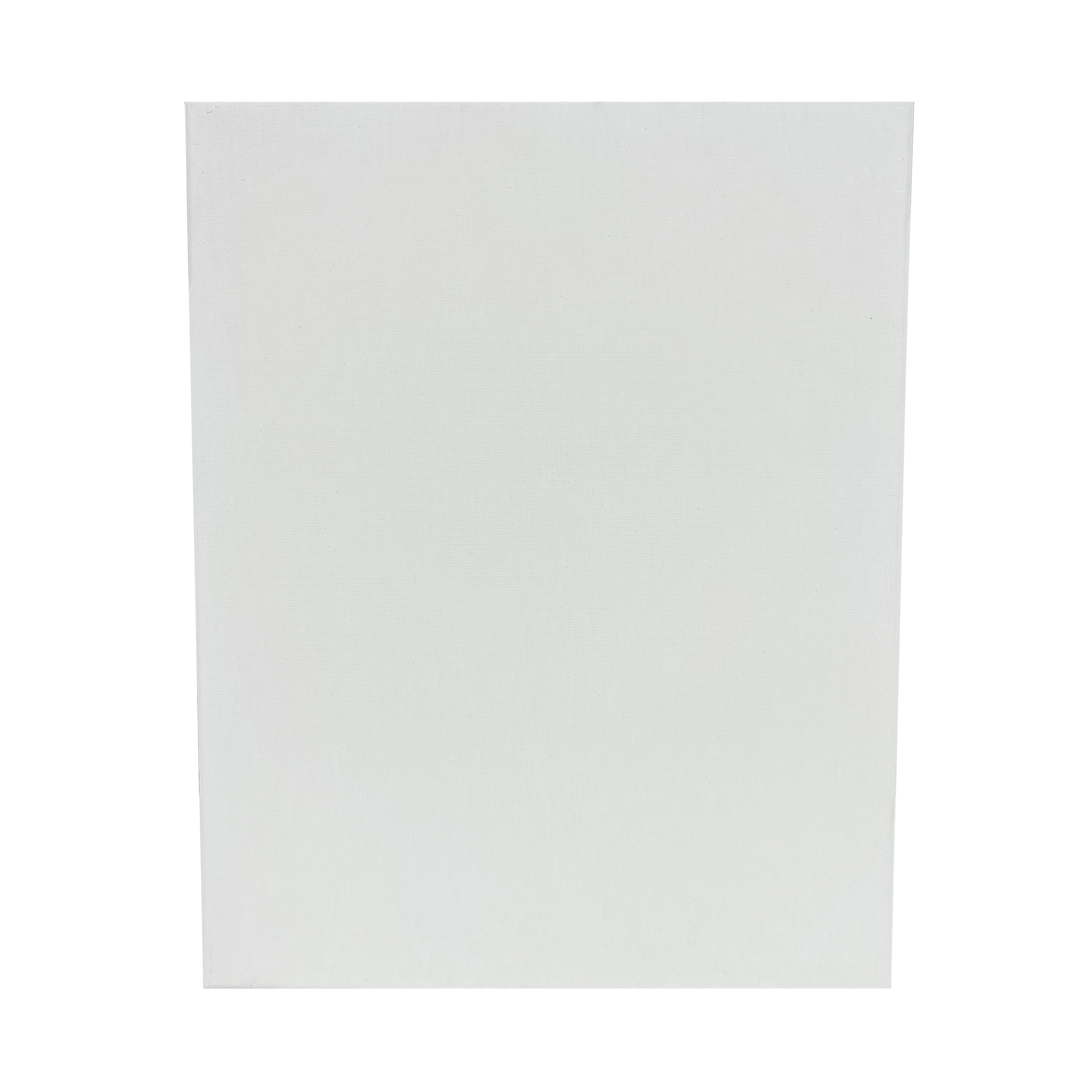 2 Pack Value Canvas by Artist's Loft