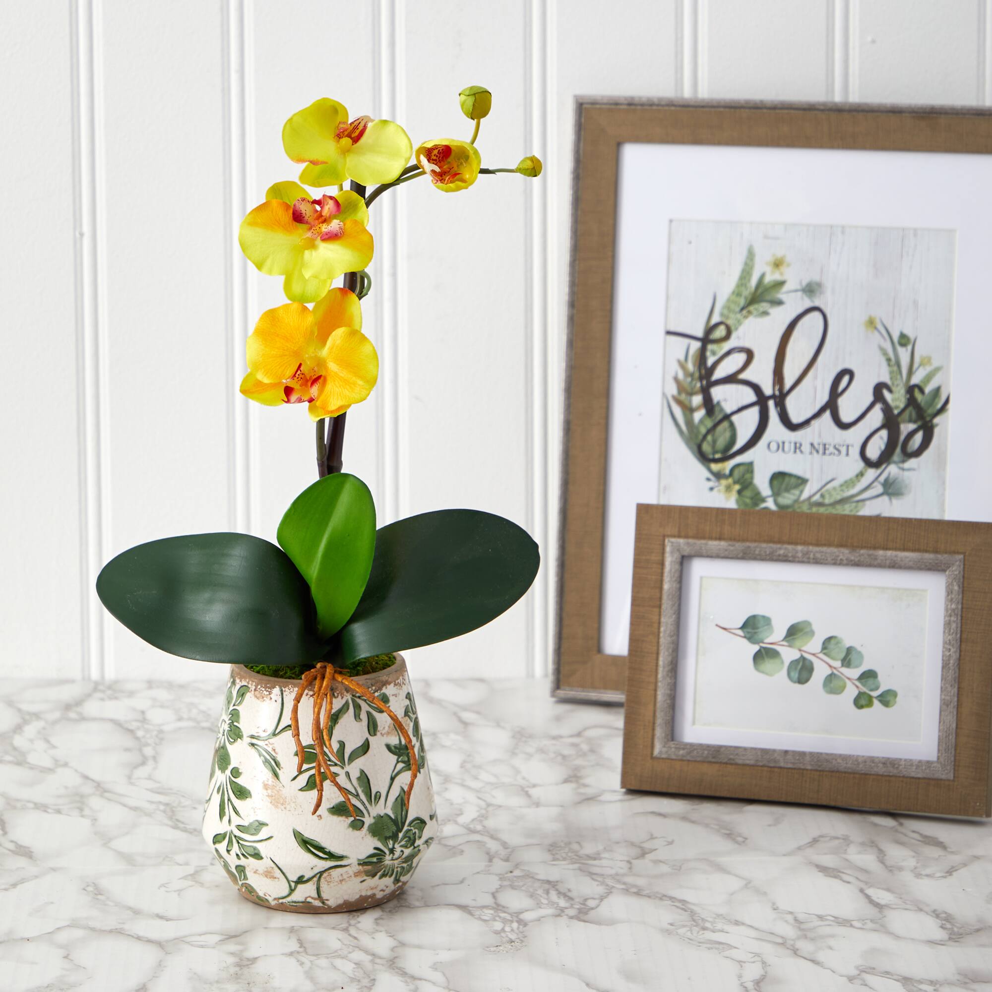 18" Mini Moth Orchid in Floral Vase