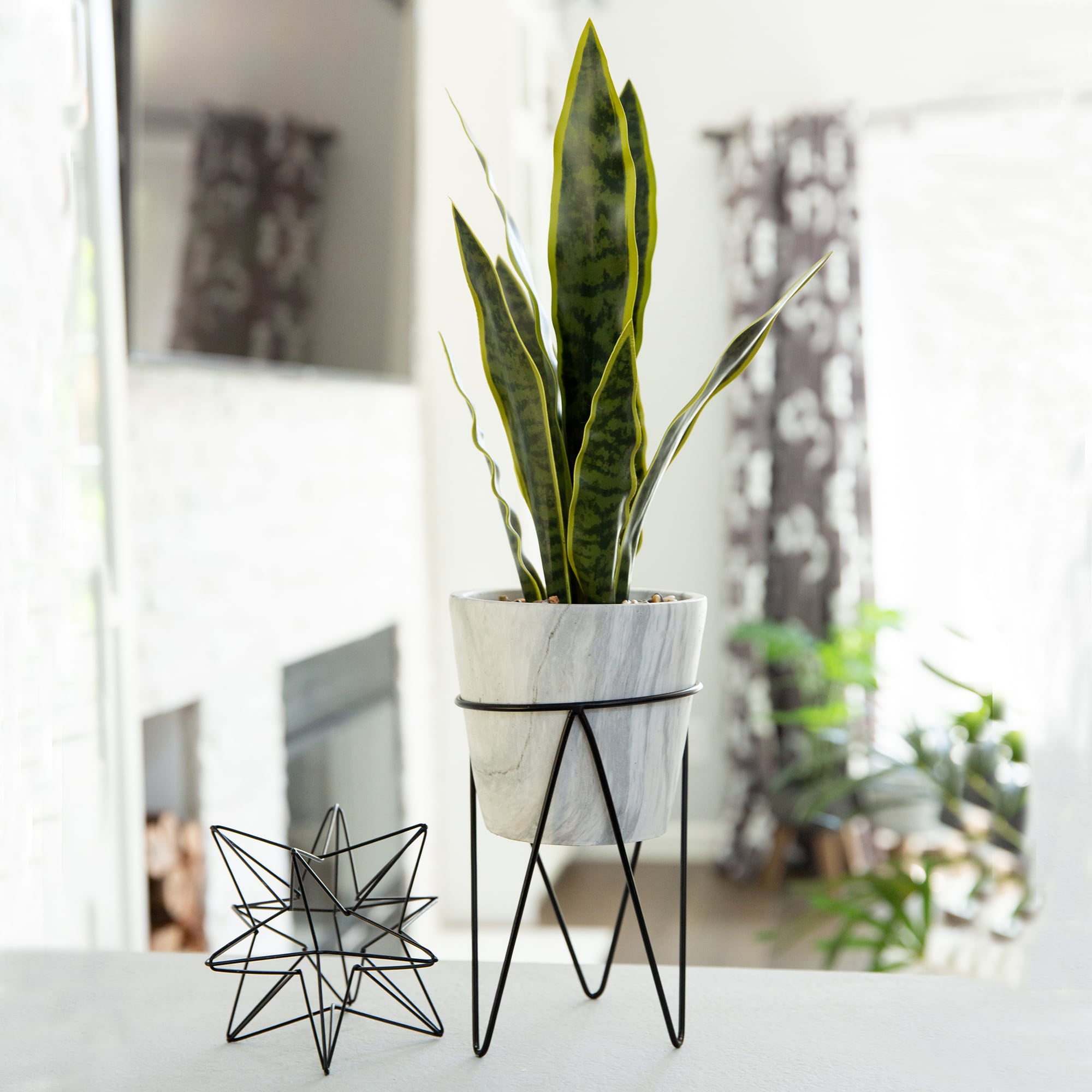 Flora Bunda&#xAE; 1.75ft. Snake Plant In Marble On Metal Stand