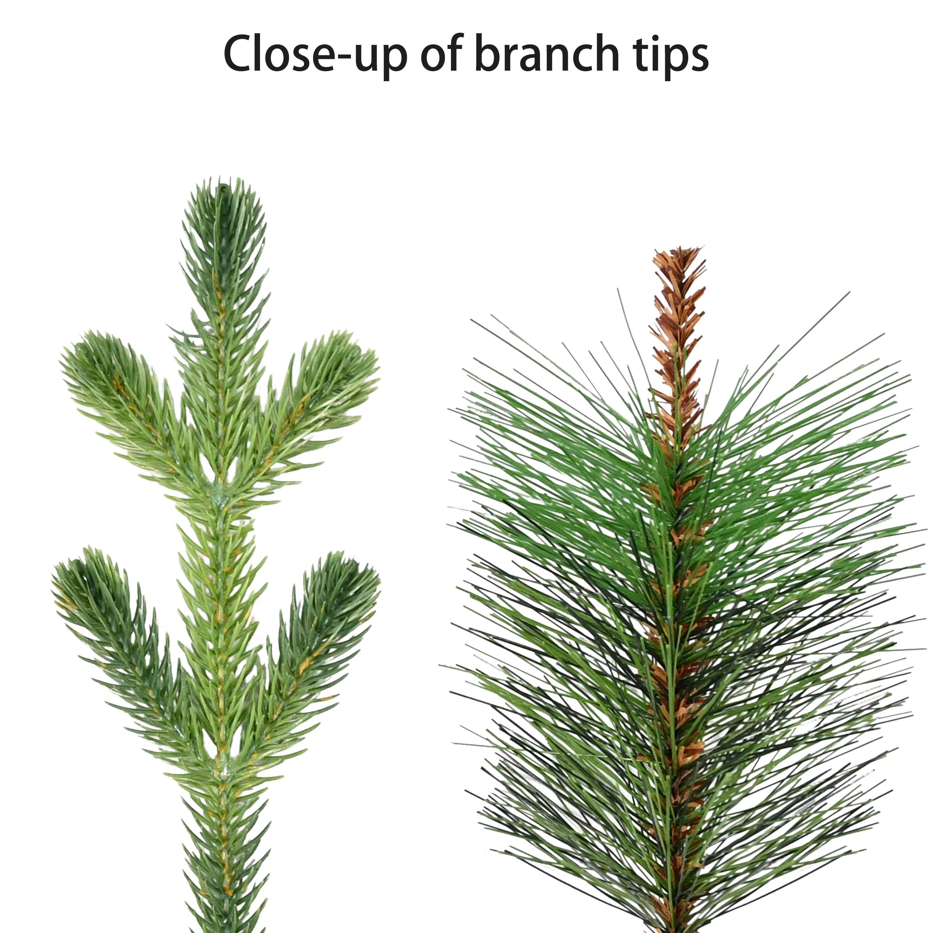 7.5ft. Pre-Lit Albany Spruce Artificial Christmas Tree, Dual-Color LED Lights