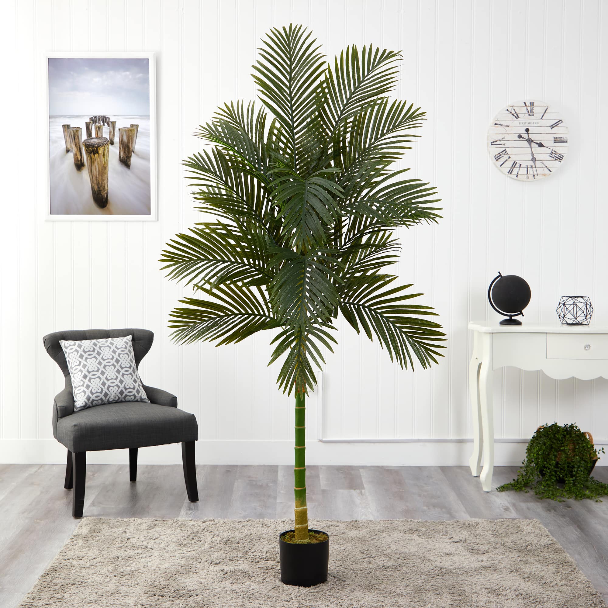 7ft. Potted Golden Cane Palm Tree