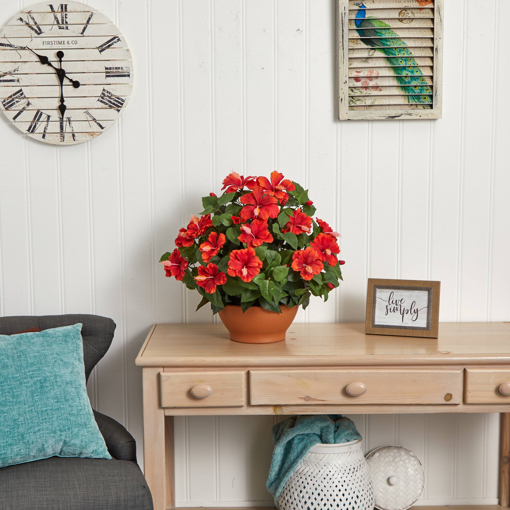 20" Red Hibiscus Plant with Clay Planter