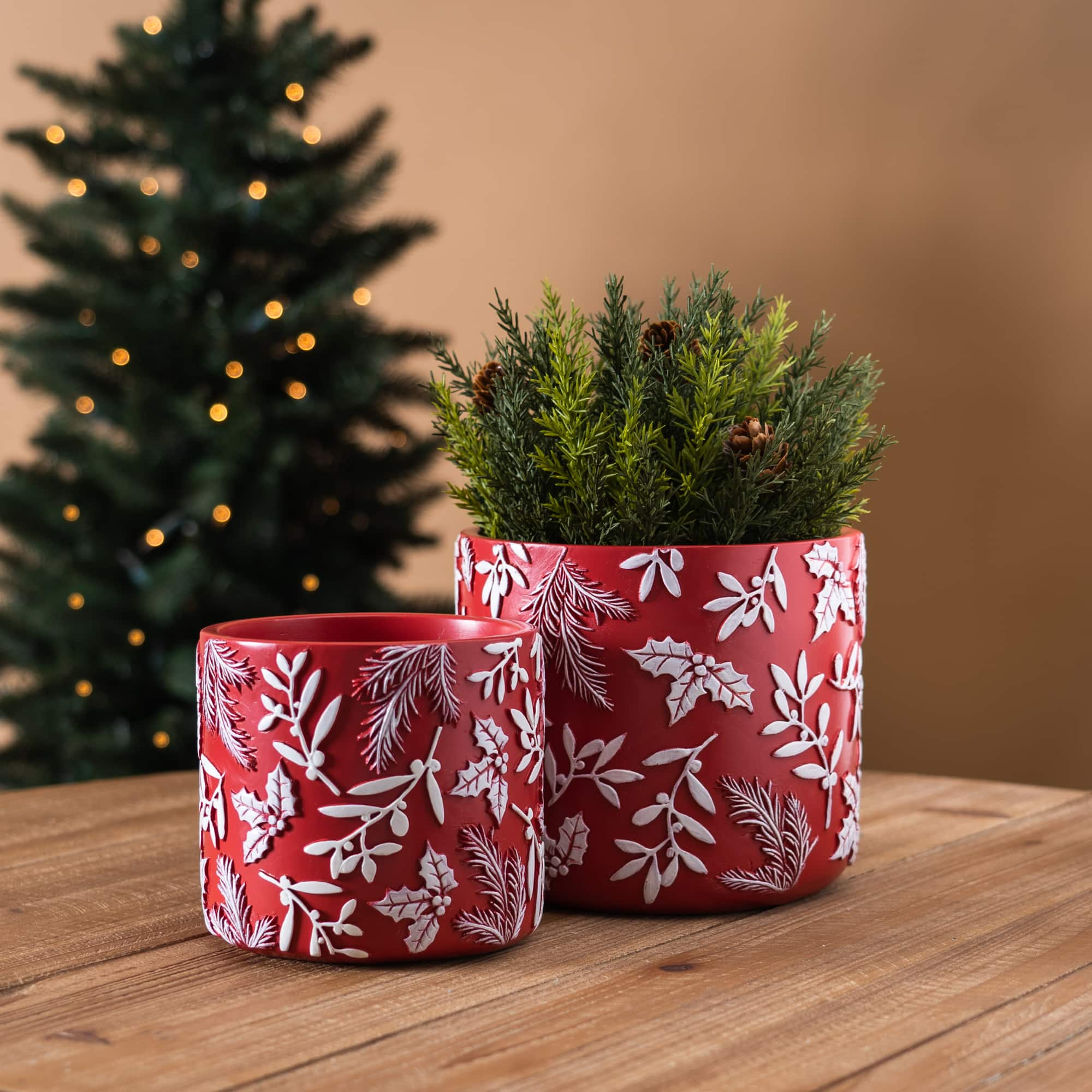 Red Winter Foliage Planter Set