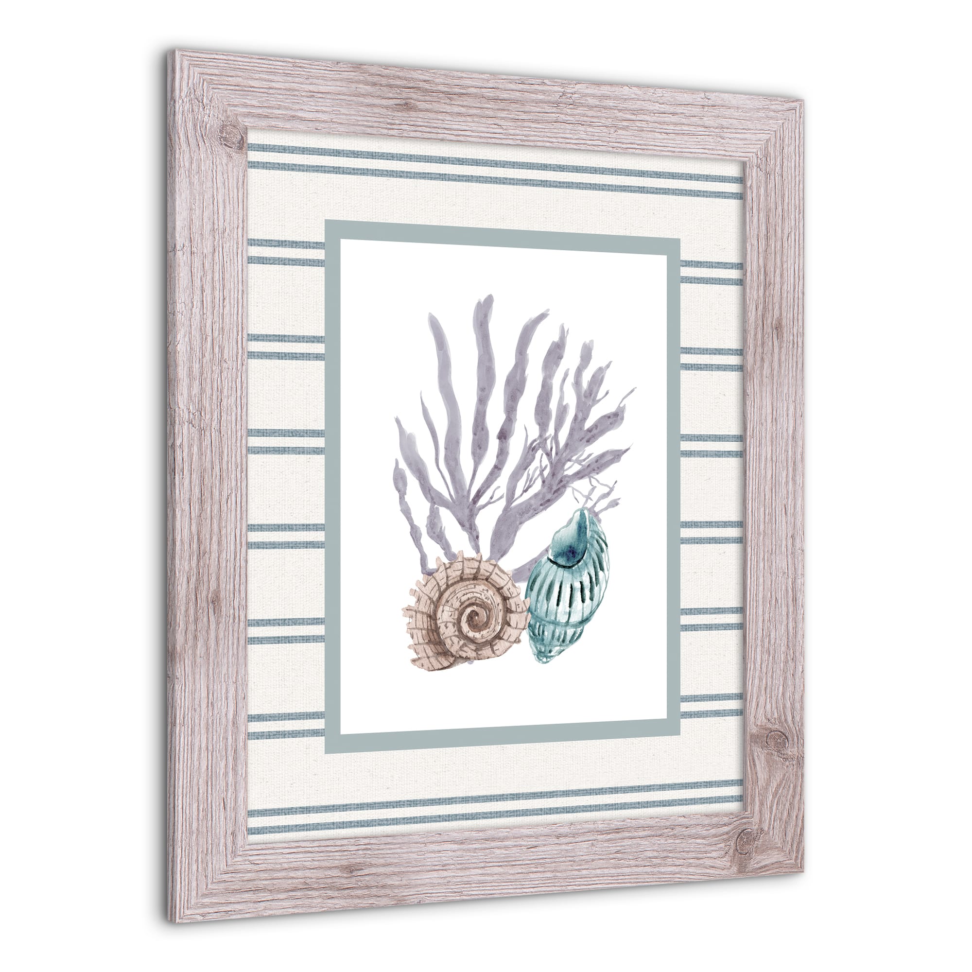 Snail &#x26; Banded Tulip Shell Western Framed Print