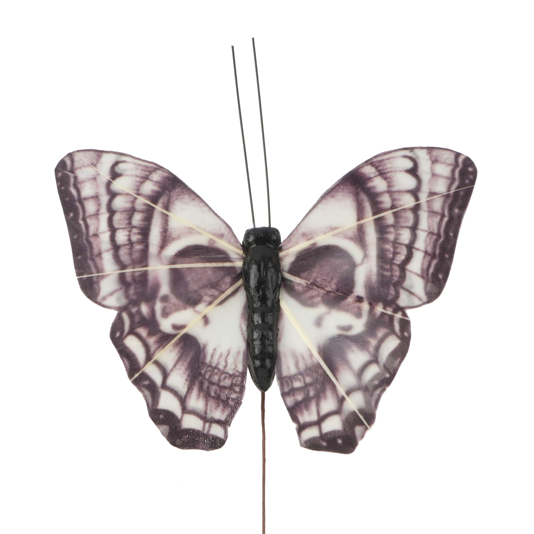 Black & White Skull Butterfly Set by Ashland®