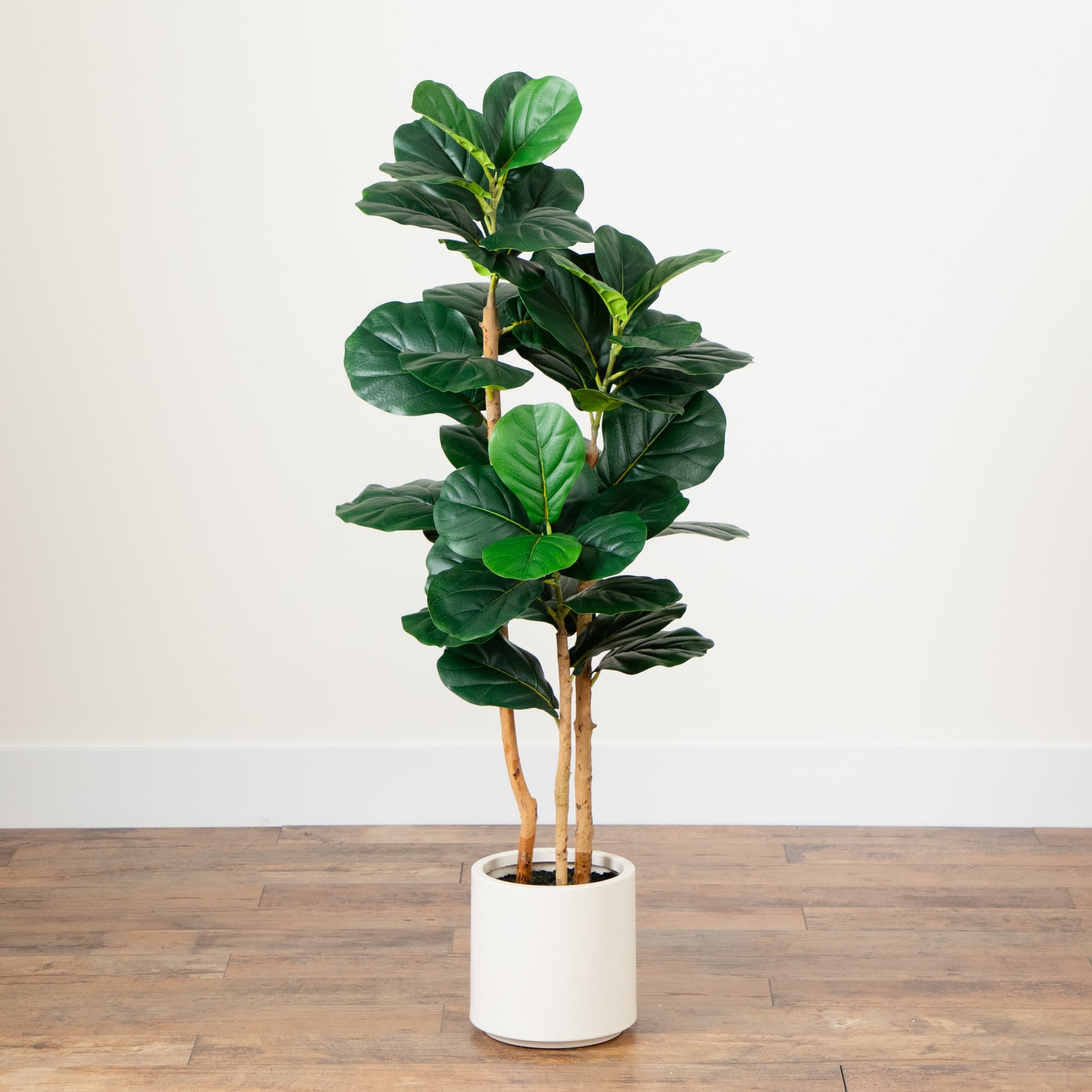 4ft. Fiddle Leaf Tree in Decorative White Planter