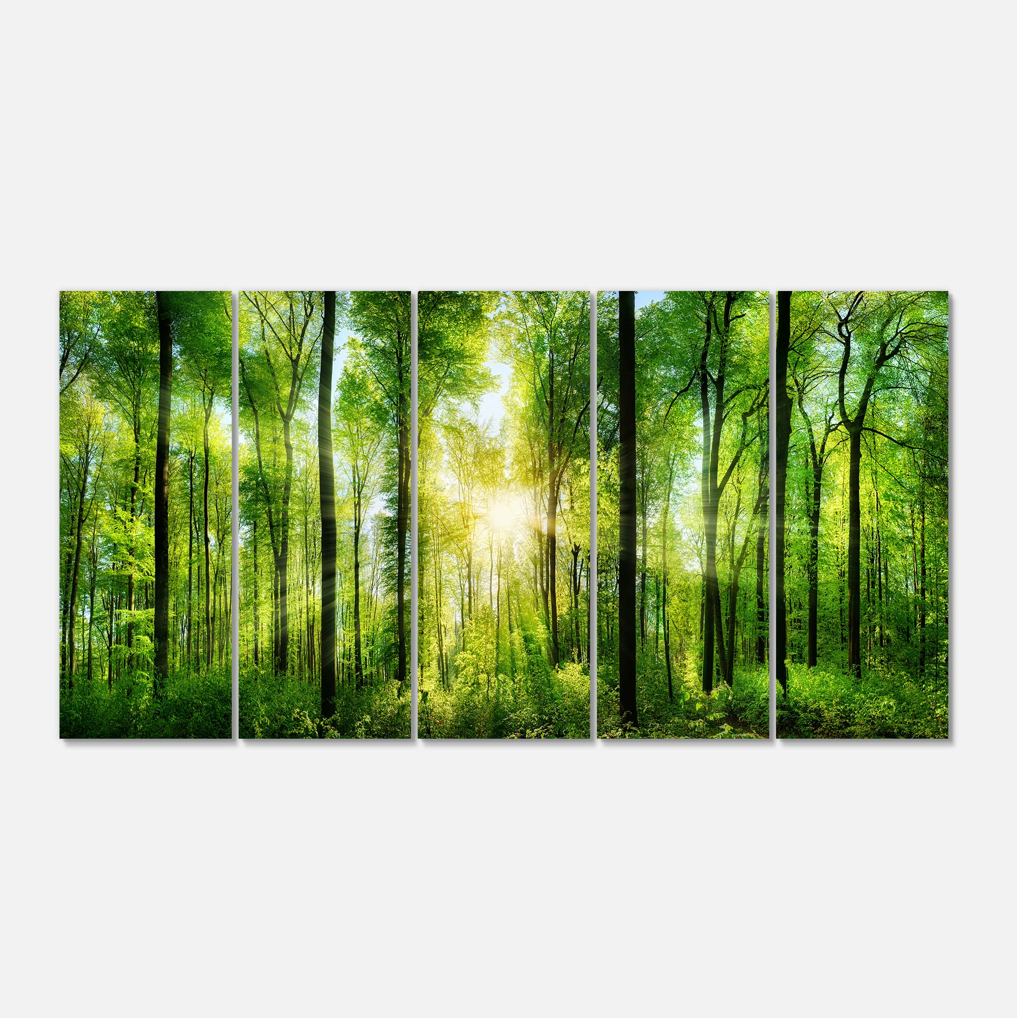 Designart - Forest with Rays of Sun Panorama - Landscape Art Print Canvas