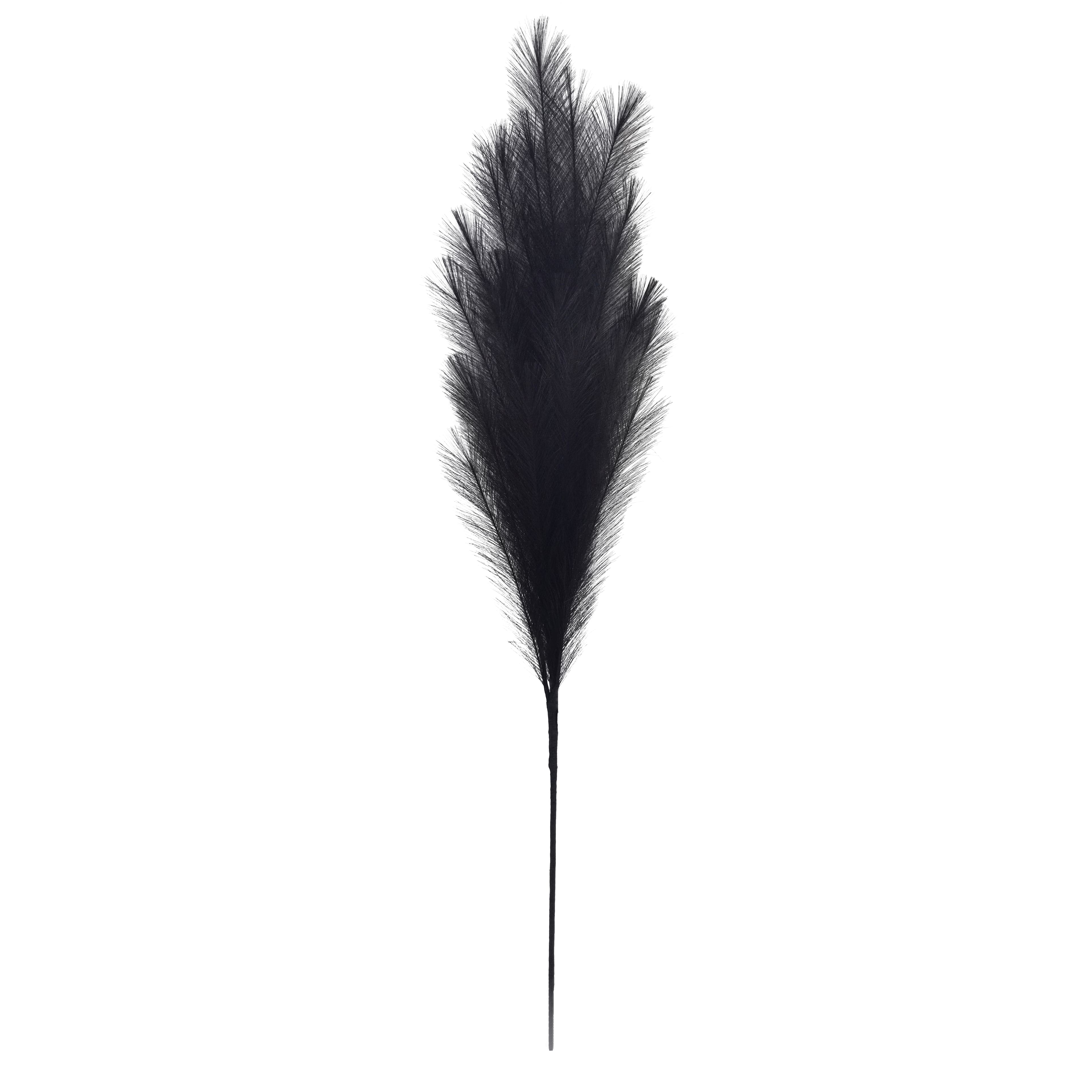 6 Pack: 42" Black Pampas Grass Stem by Ashland®