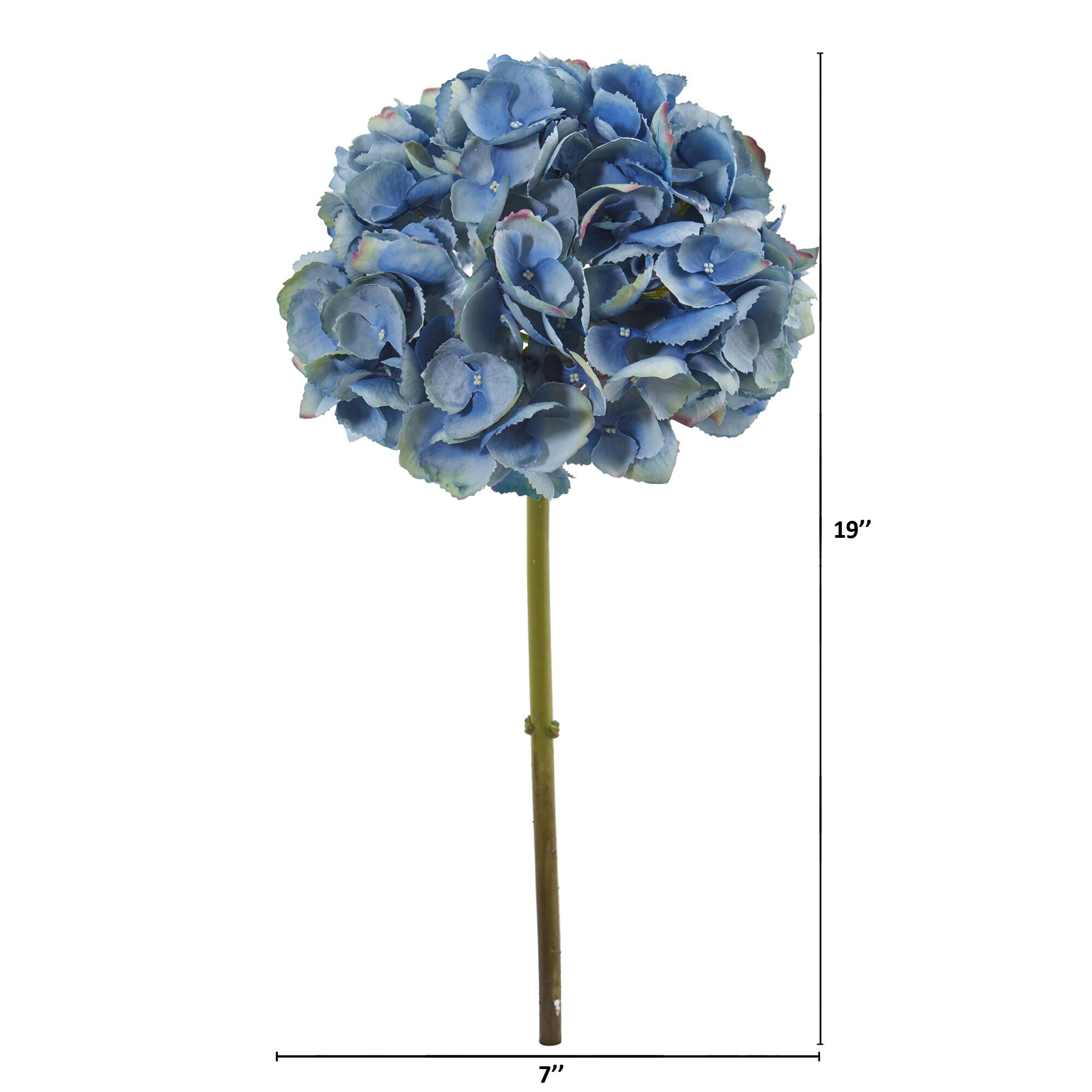 Hydrangea Flower Stem