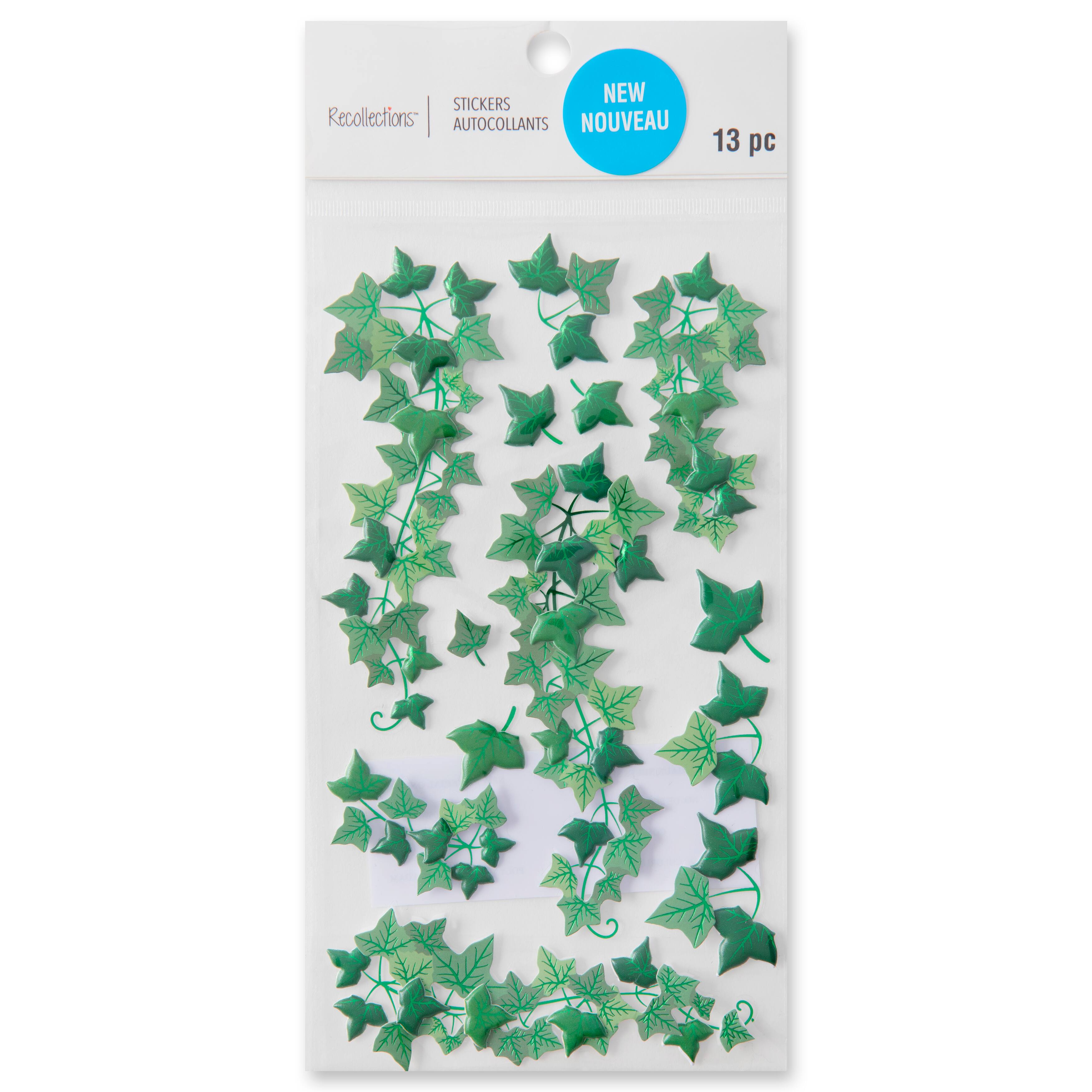 12 Pack: Ivy Stickers by Recollections&#x2122;