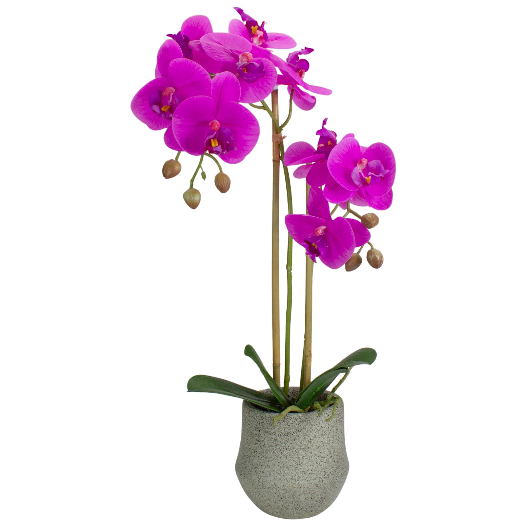 14&#x22; Purple Orchid Plant in Gray Stone Pot