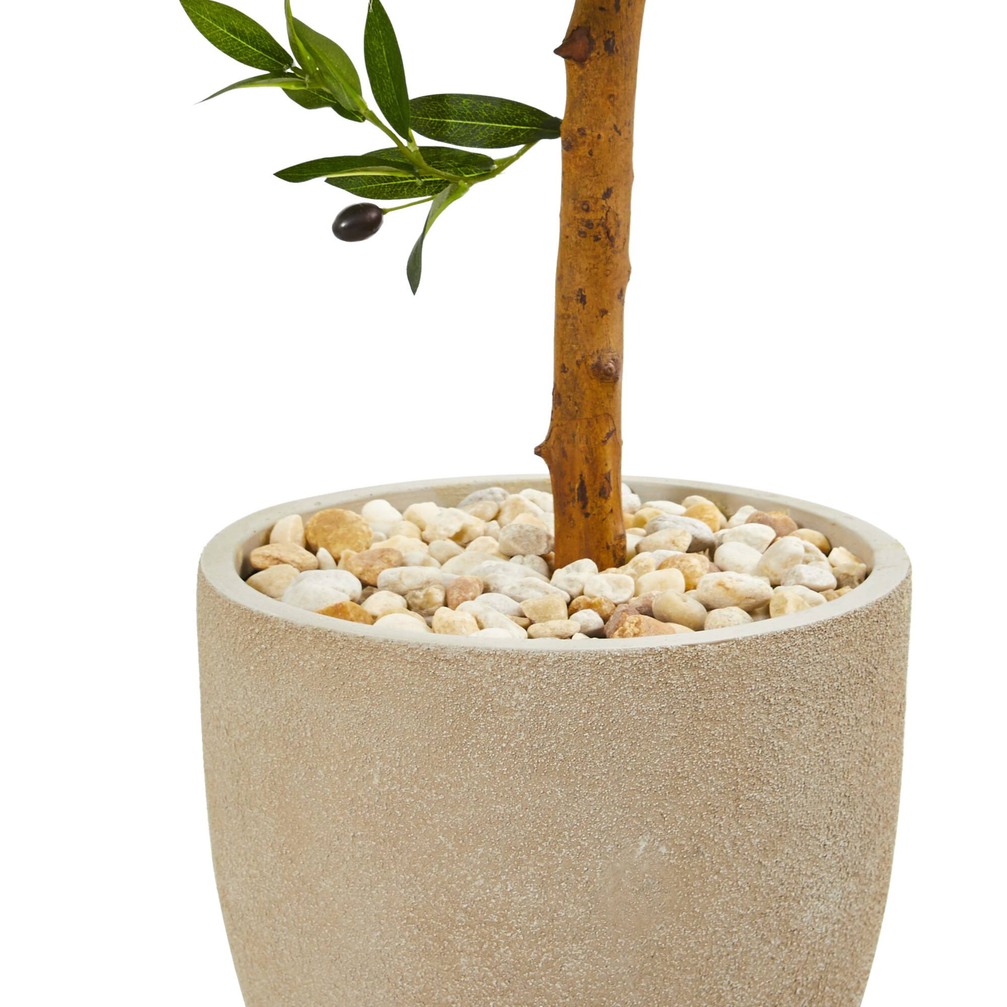 3.5ft. Olive Topiary Tree in Sand Stone Planter