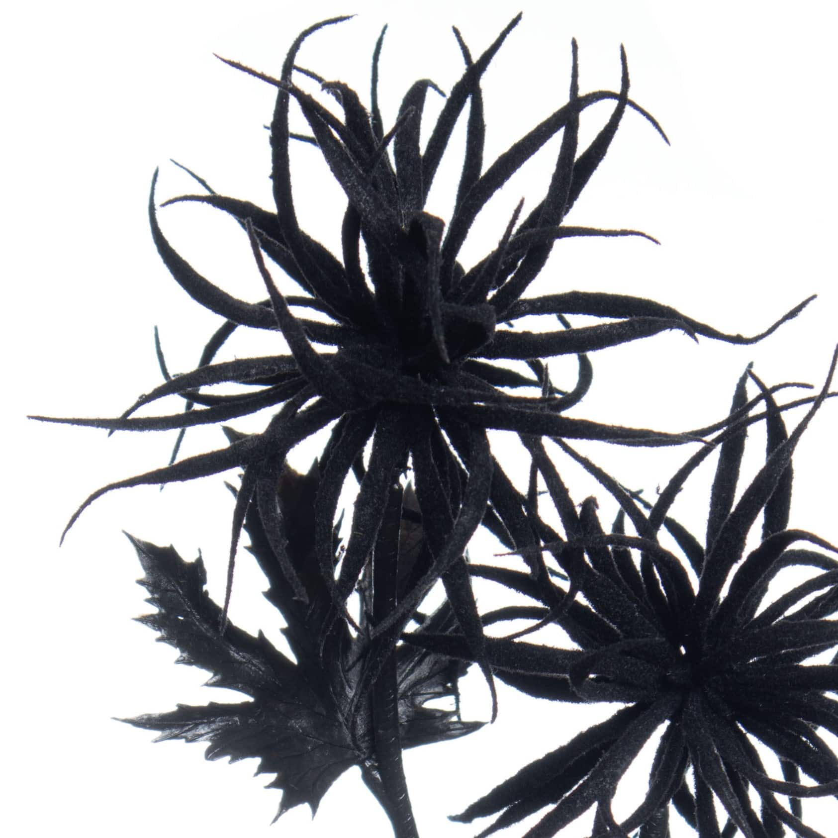 12&#x22; Air Plant Pick by Ashland&#xAE;