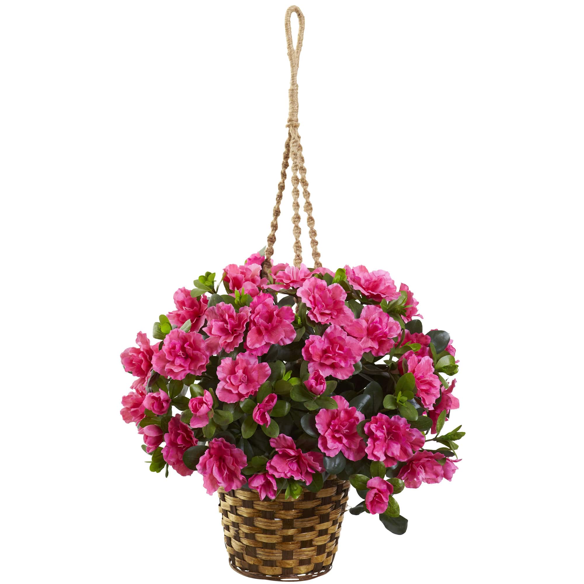 2.5ft. Pink Azalea Flowering Hanging Basket