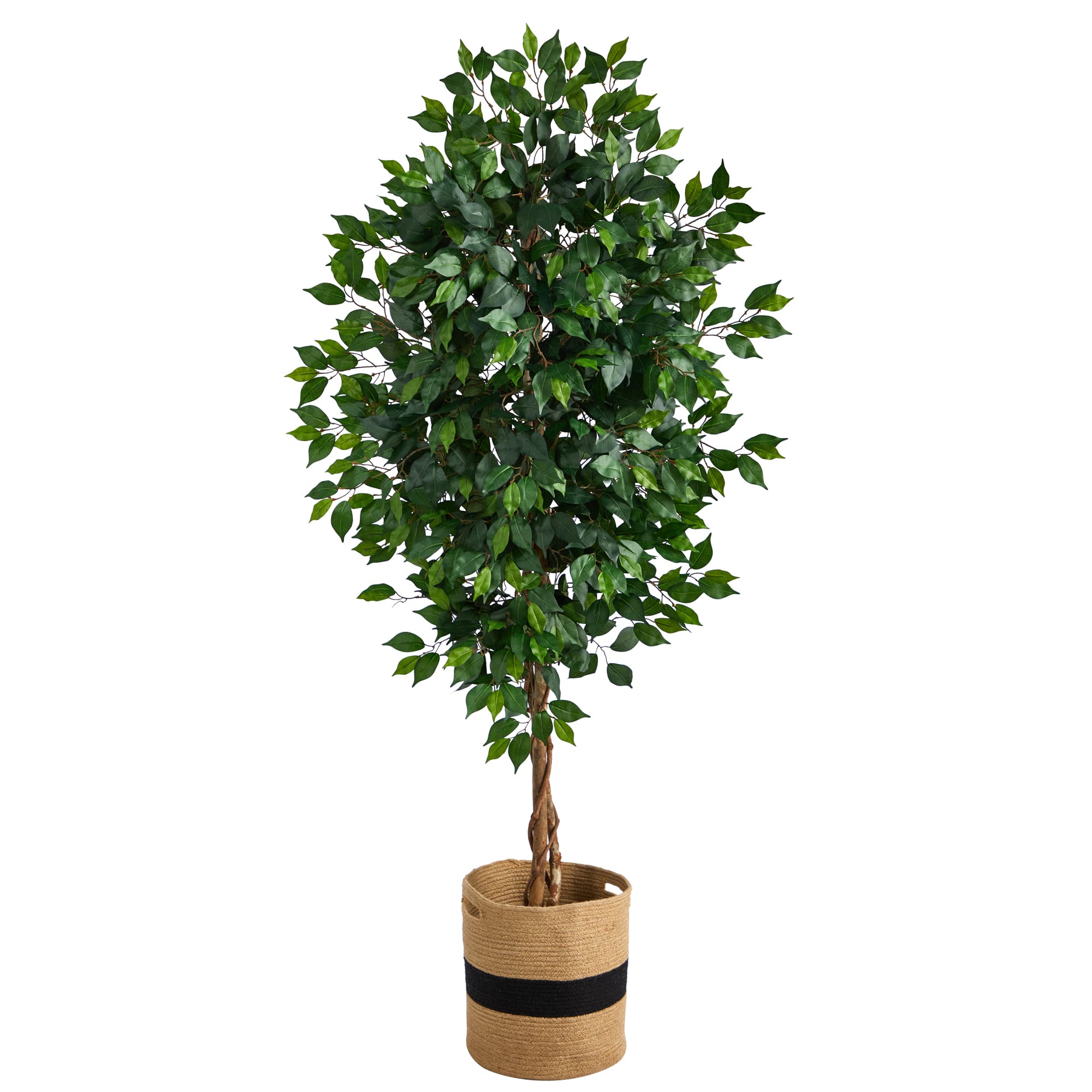 6ft. Ficus Artificial Tree with Natural Trunk in Handmade Natural Cotton  Planter