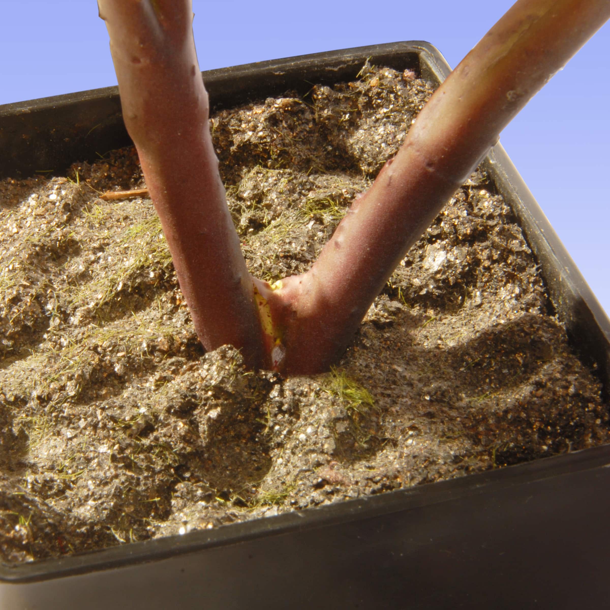 15" Fuchsia Peony Flower