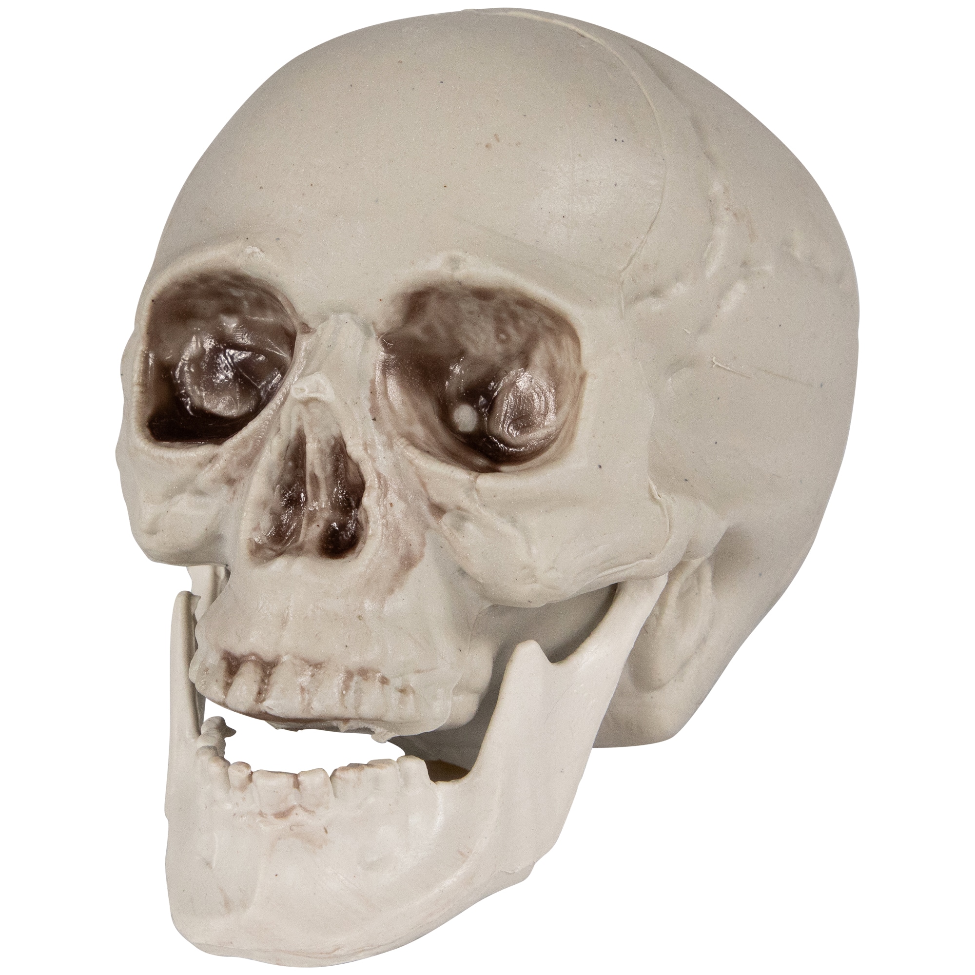 4.75&#x22; Skull Halloween Decorations, 6ct.