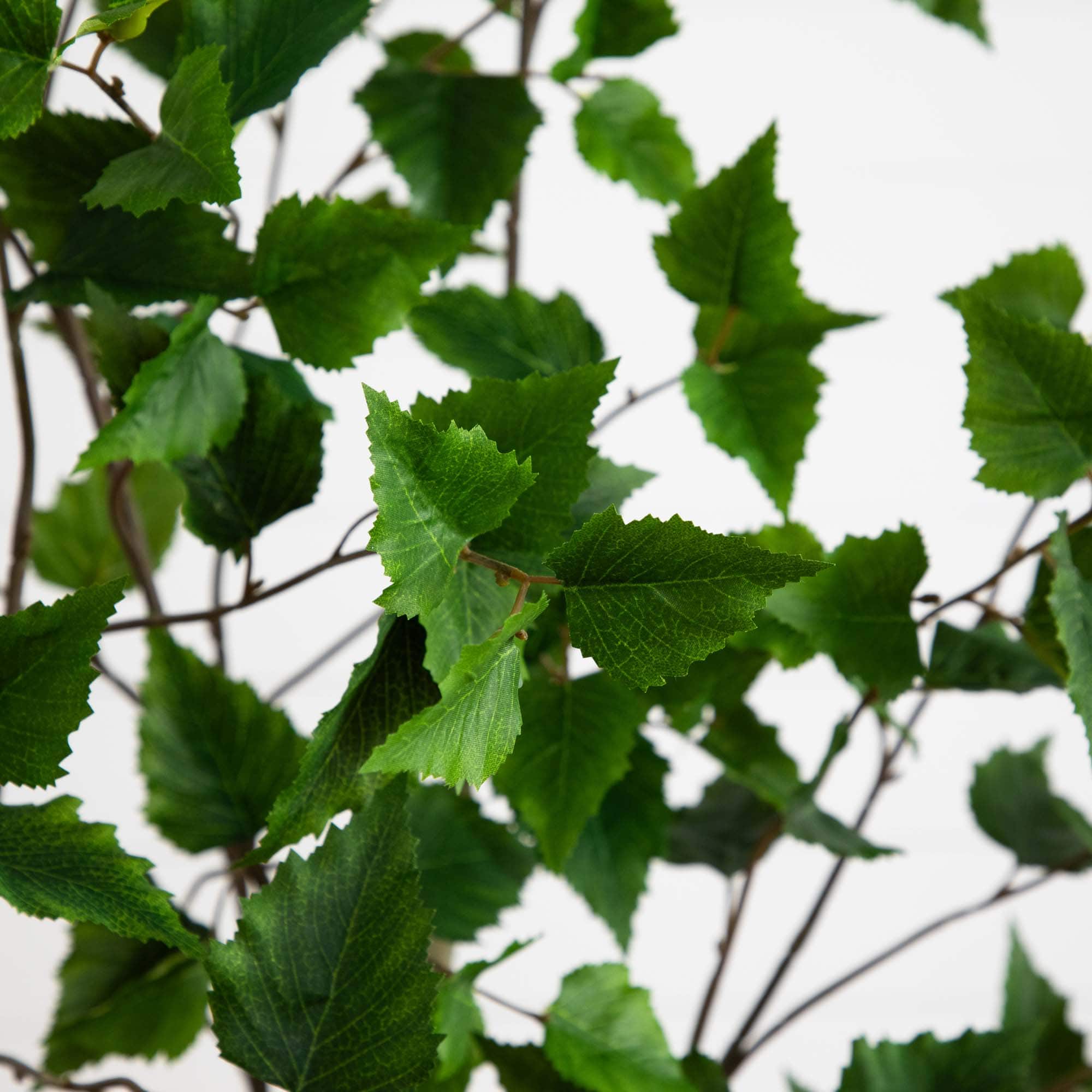 6ft. Potted Green Artificial Birch Tree with Real Touch Leaves