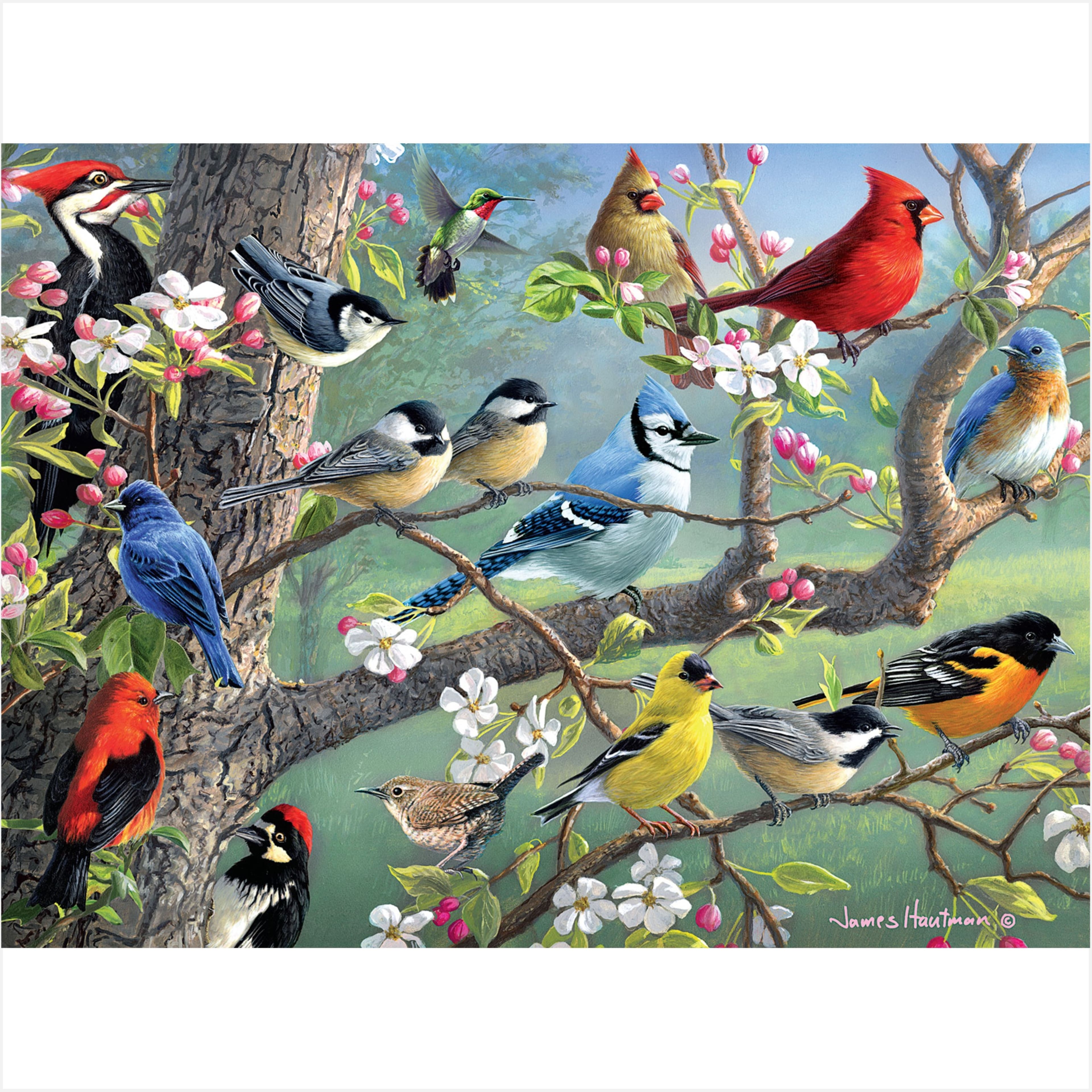 Assorted Kim Norlien &#x26; Hautman Brothers 1,000 Piece Puzzle