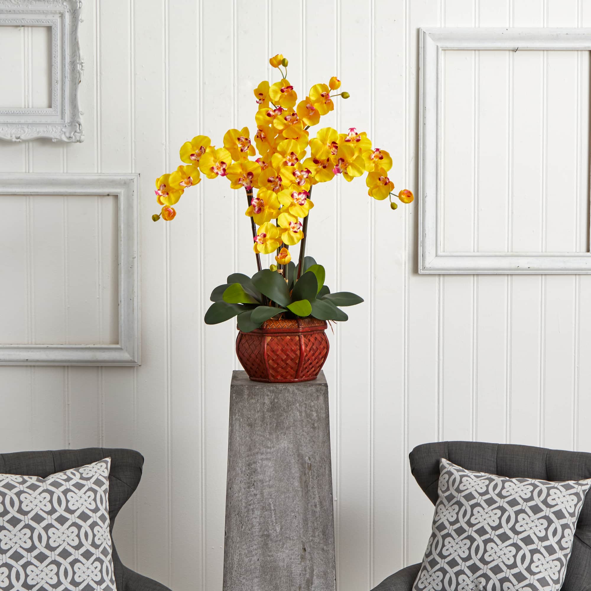 2.5ft. Yellow Moth Orchid Arrangement with Decorative Vase
