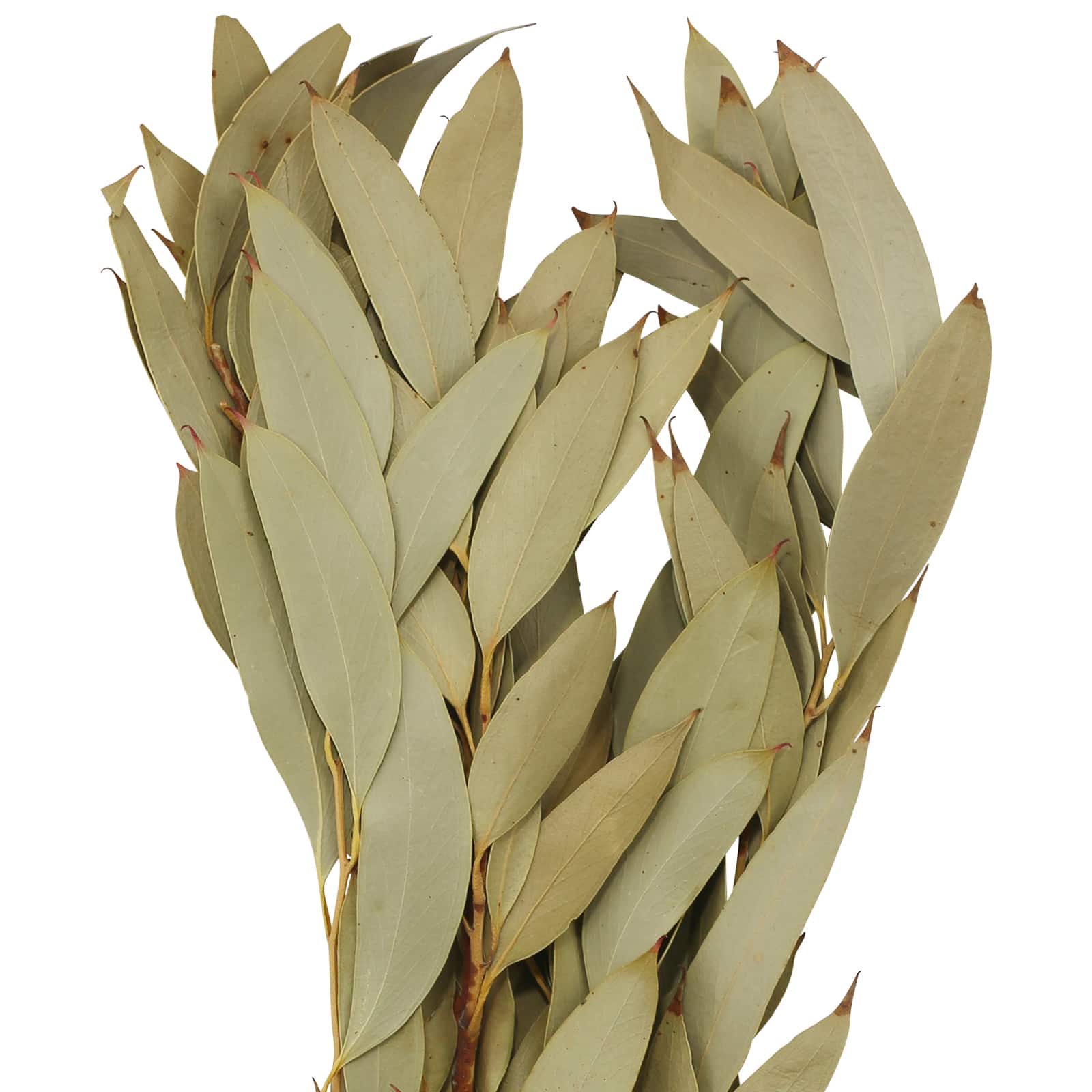 21" Amber Fruit Foliage Bundle by Ashland®