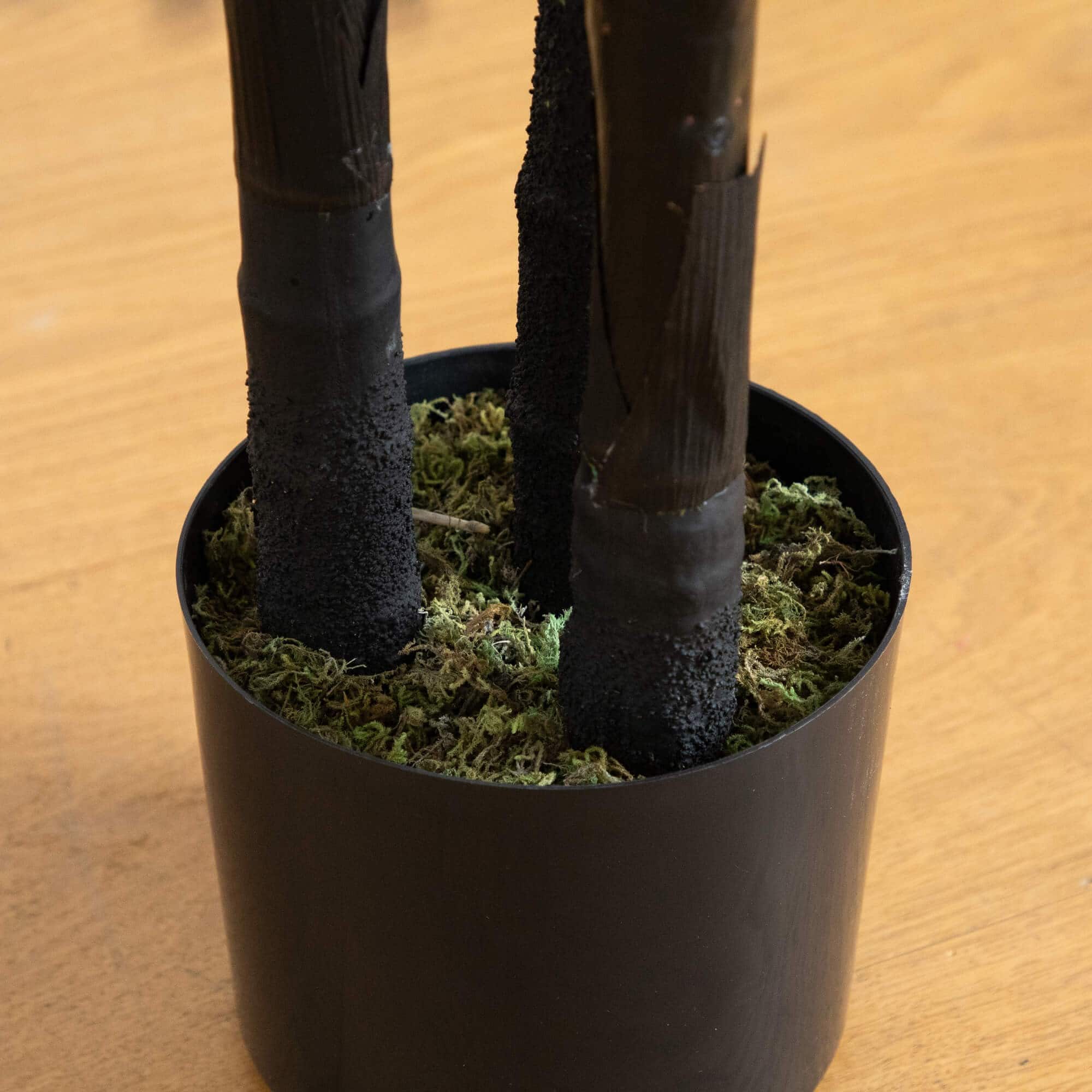 6ft. Artificial Halloween Black Golden Cane Tree