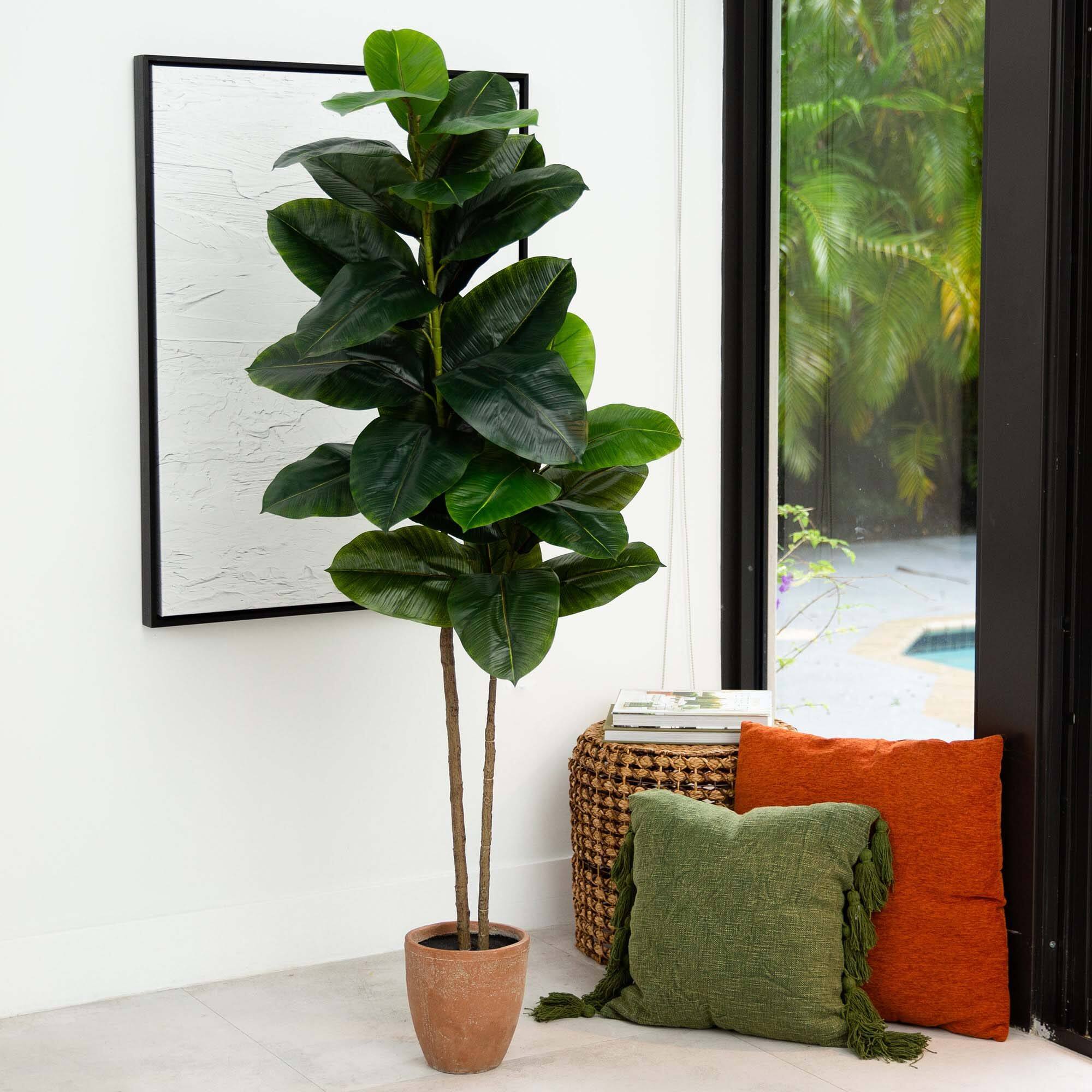 6ft. Rubber Tree in Decorative Planter with Real Touch Leaves