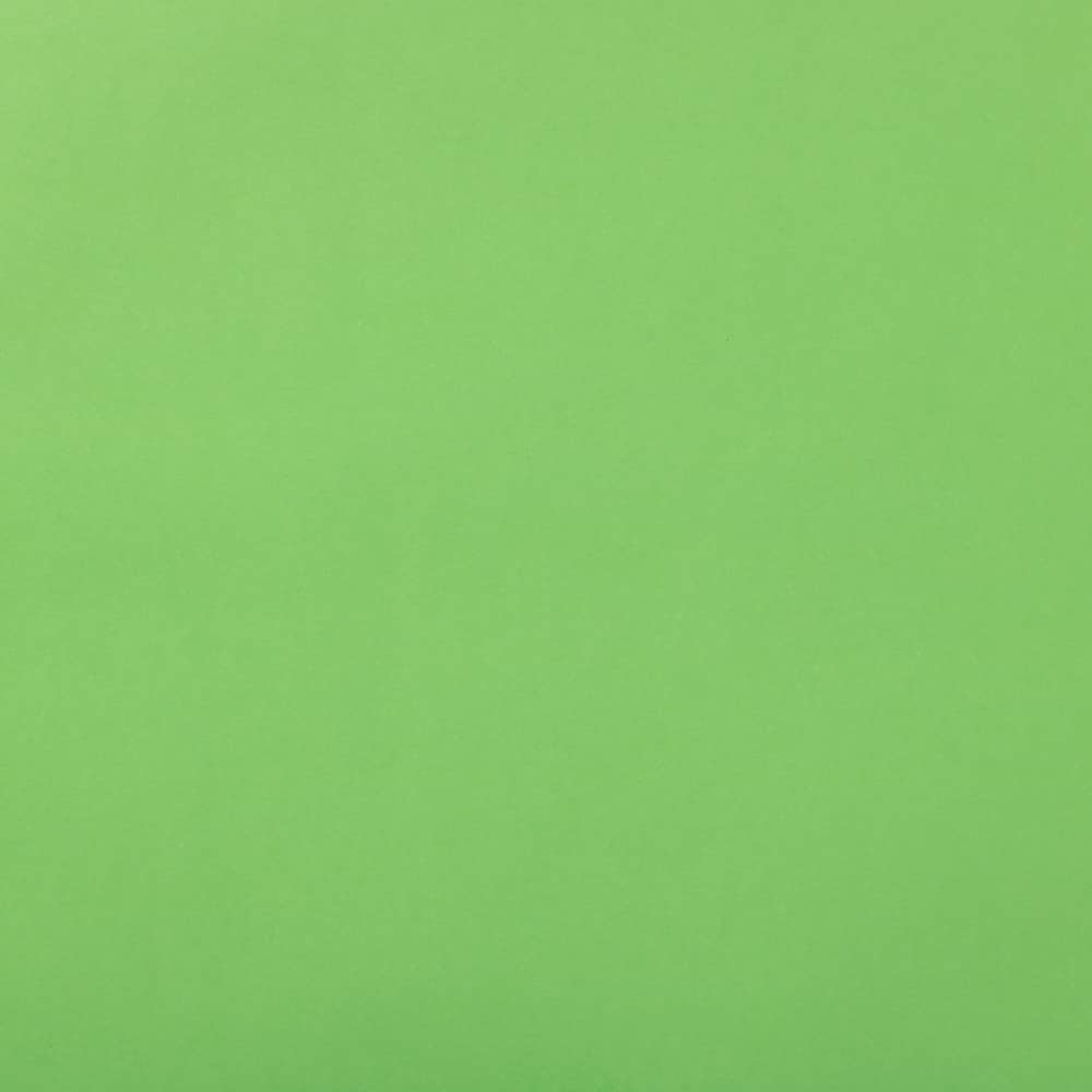 JAM Paper Matte Gift Wrap, 2ct.