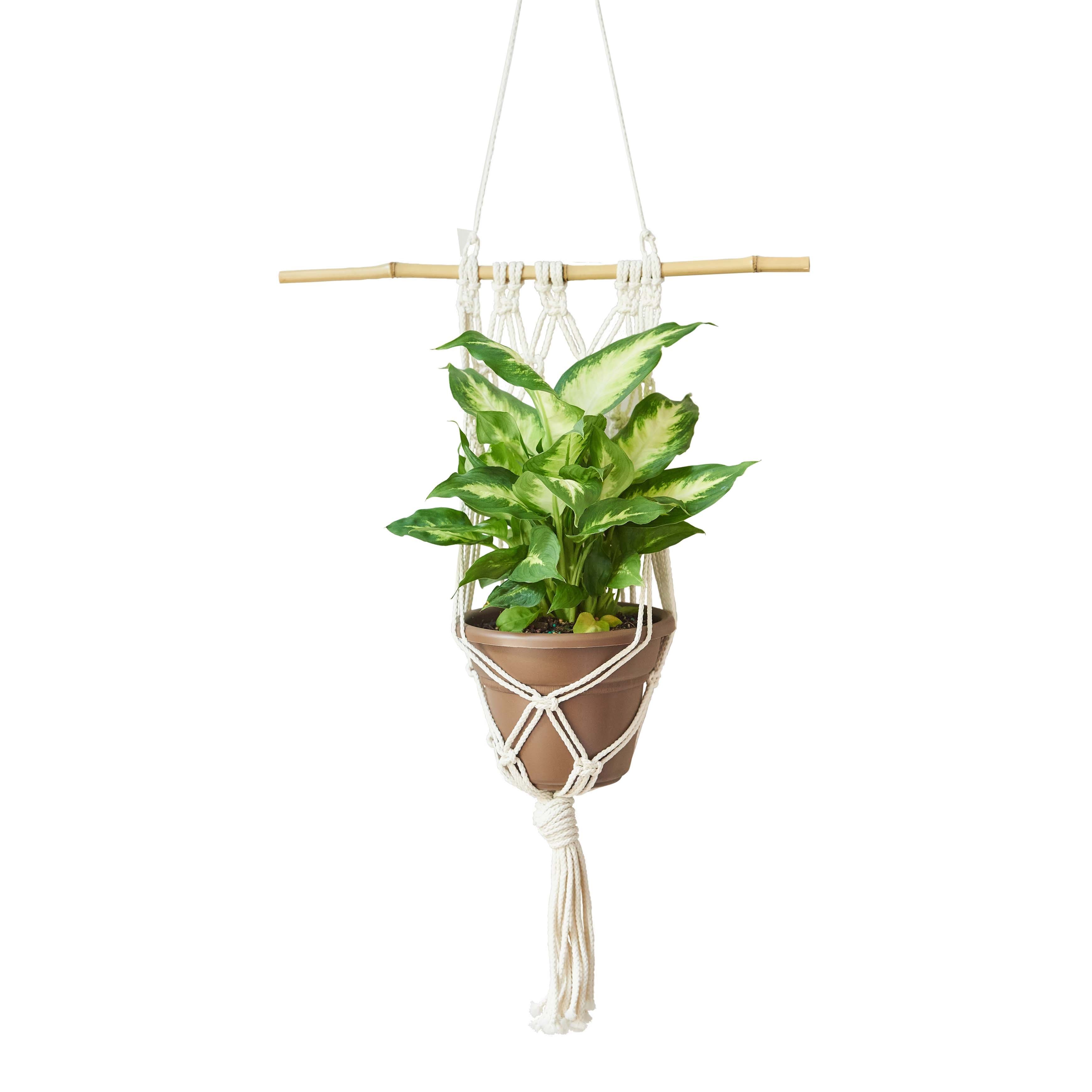 6mm Heat Fusible Macramé Cord by Loops & Threads®