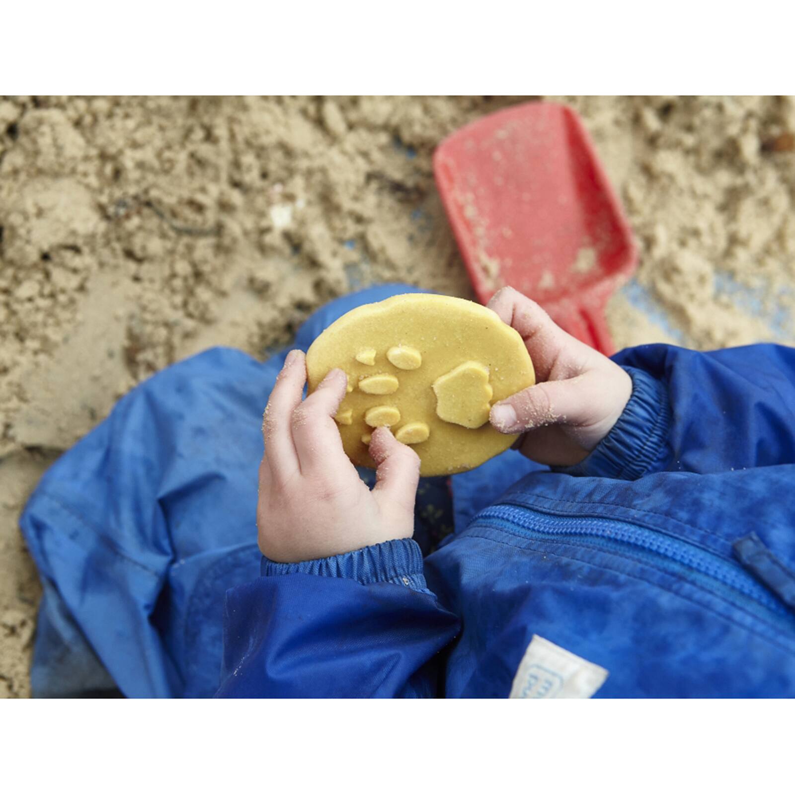 Yellow Door Let's Investigate Safari Footprints