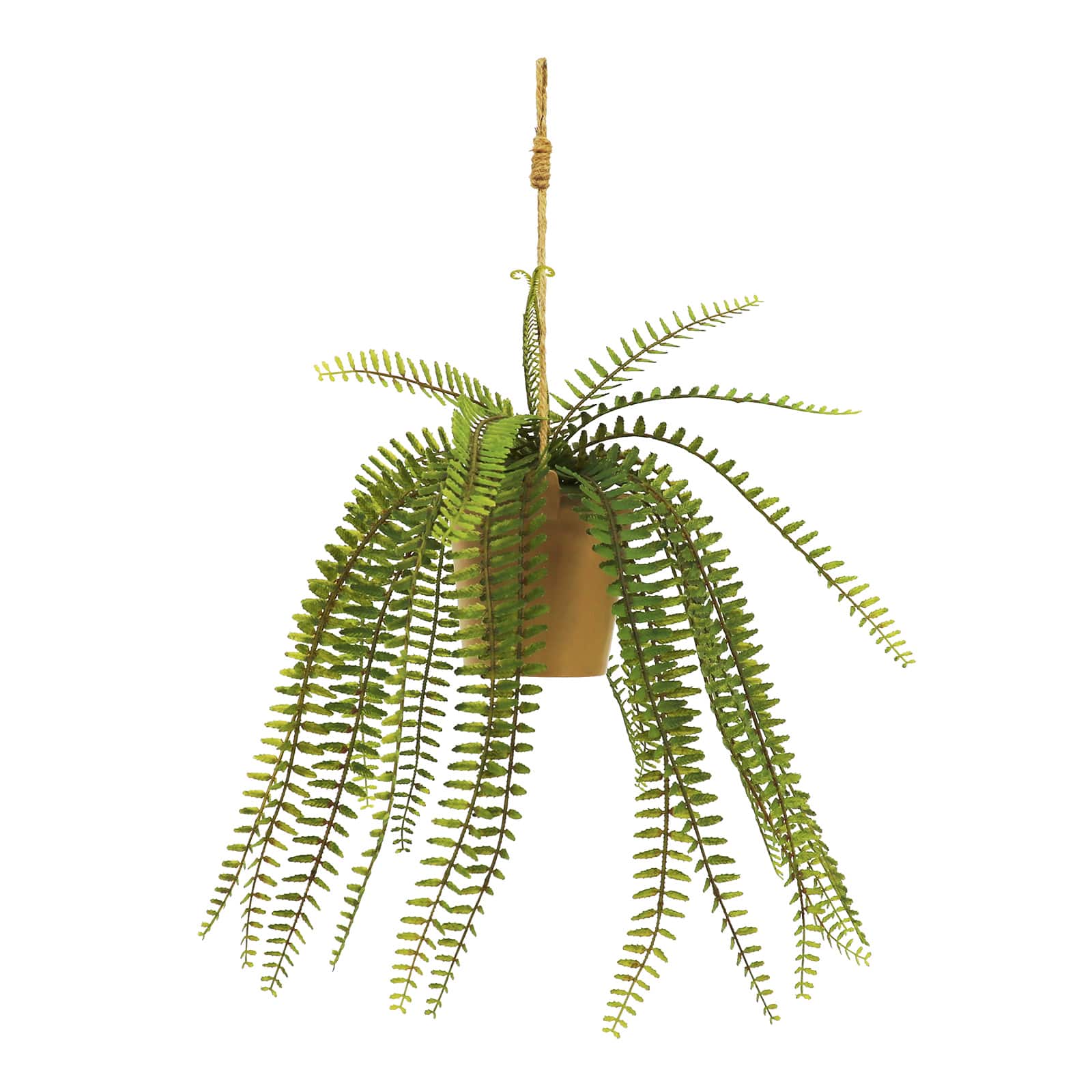 19&#x22; Hanging Boston Fern by Ashland&#xAE;