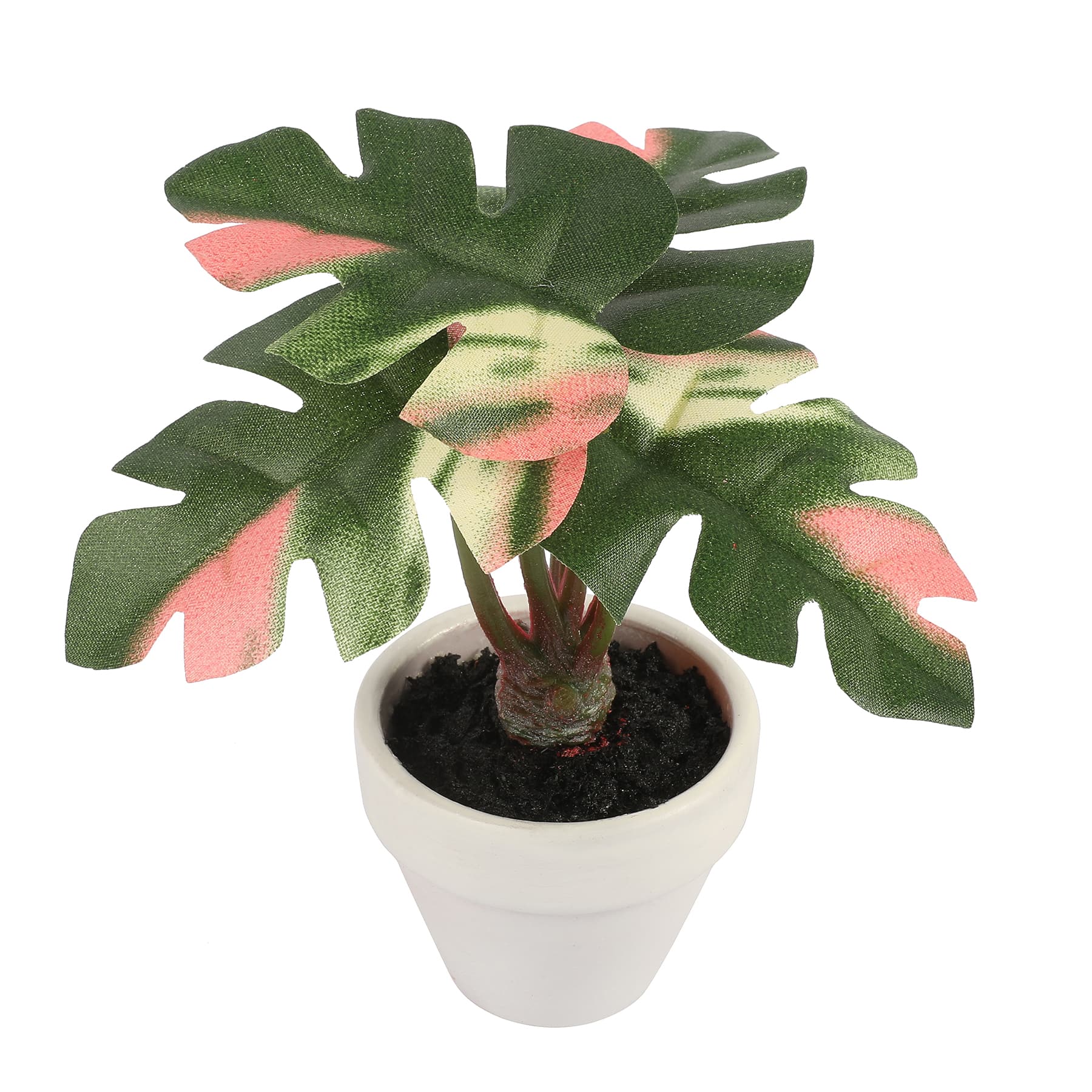 4.5&#x22; Green &#x26; Pink Potted Monstera Plant by Ashland&#xAE;