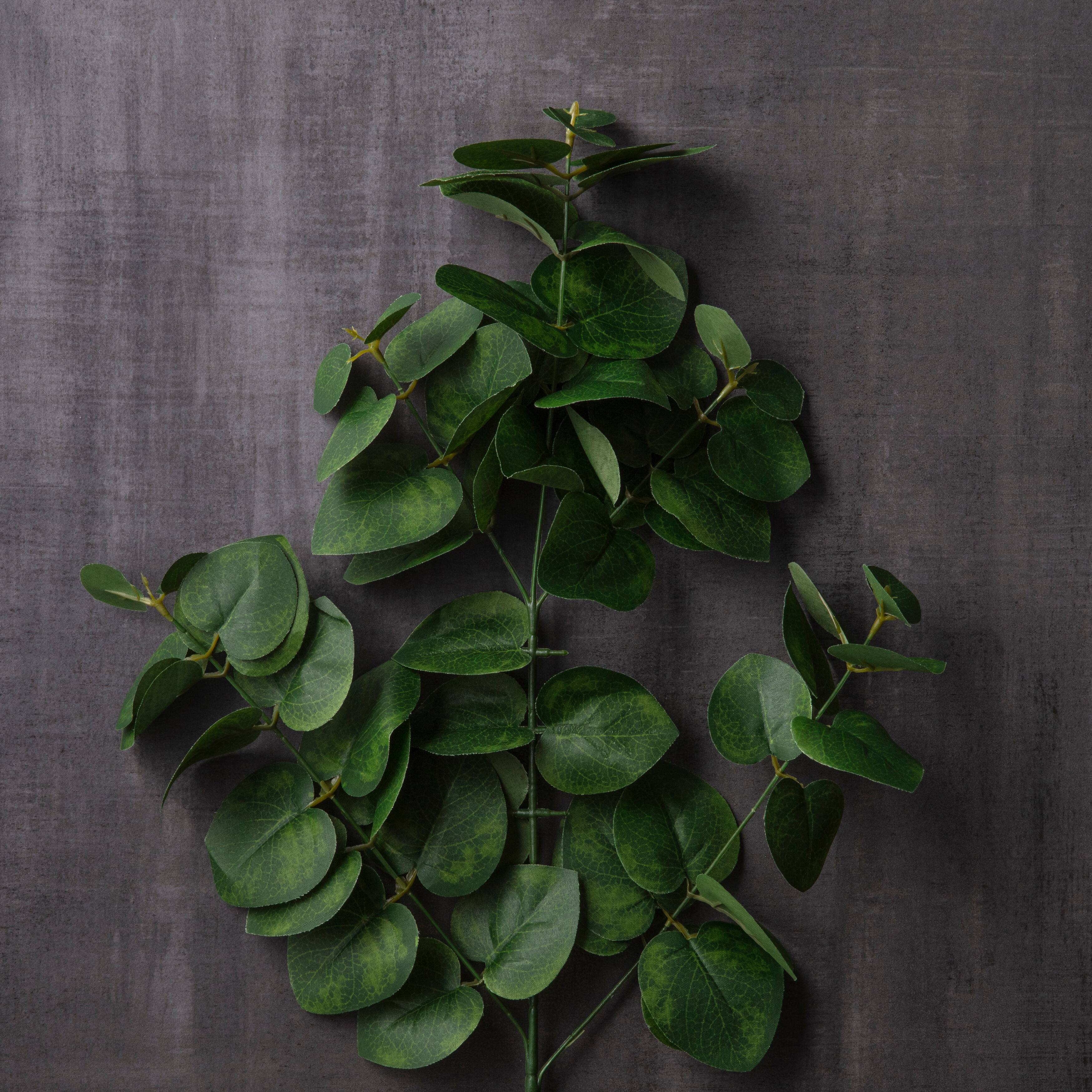 Green Eucalyptus Stem by Ashland&#xAE;