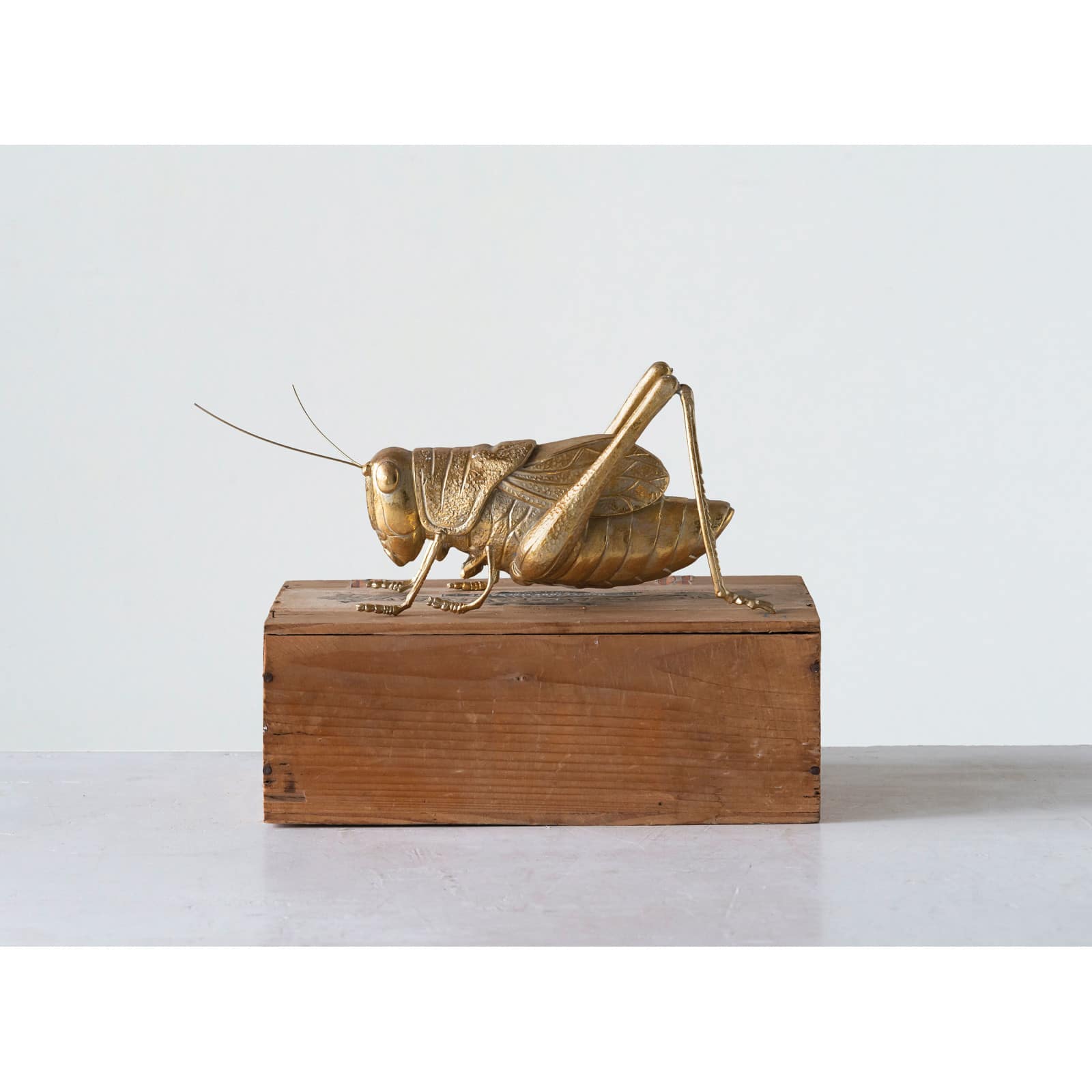 Hello Honey&#xAE; Gold Cricket Figurine