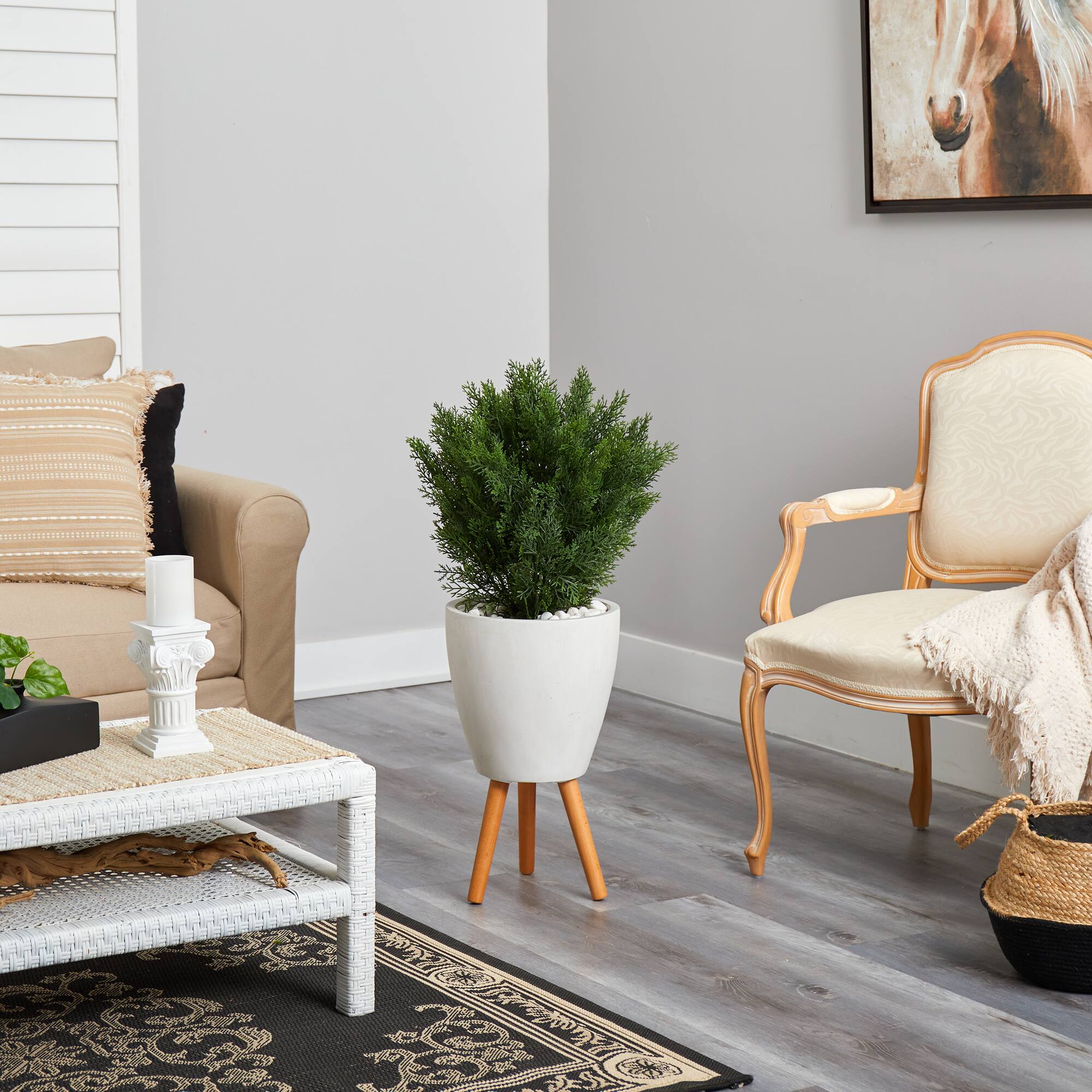 3ft. Cedar Tree in White Planter with Stand