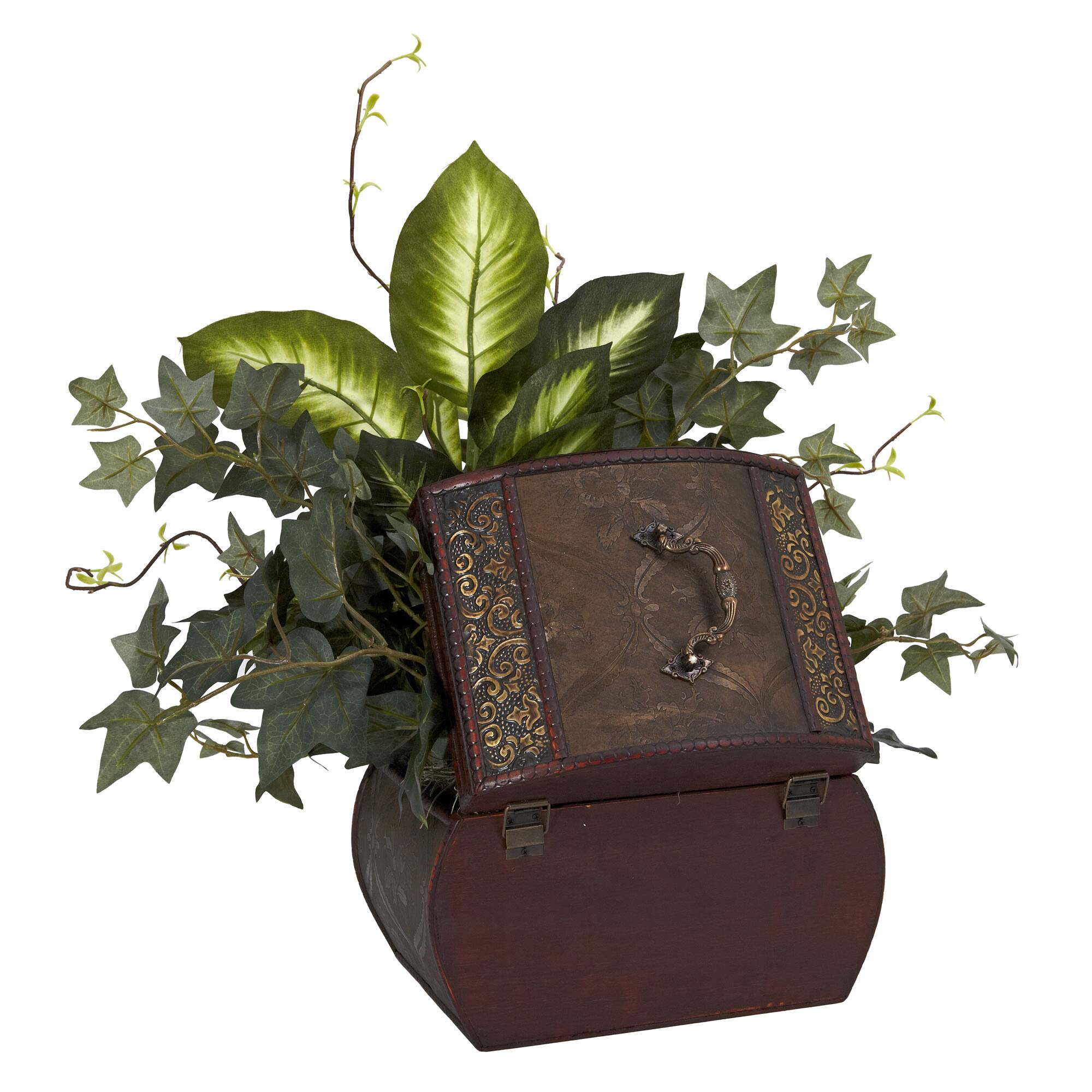 20" African Violet, Dumb Cane & Ivy in Decorative Chest