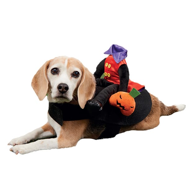 Assorted Headless Horseman Pet Costume by Ashland&#xAE;